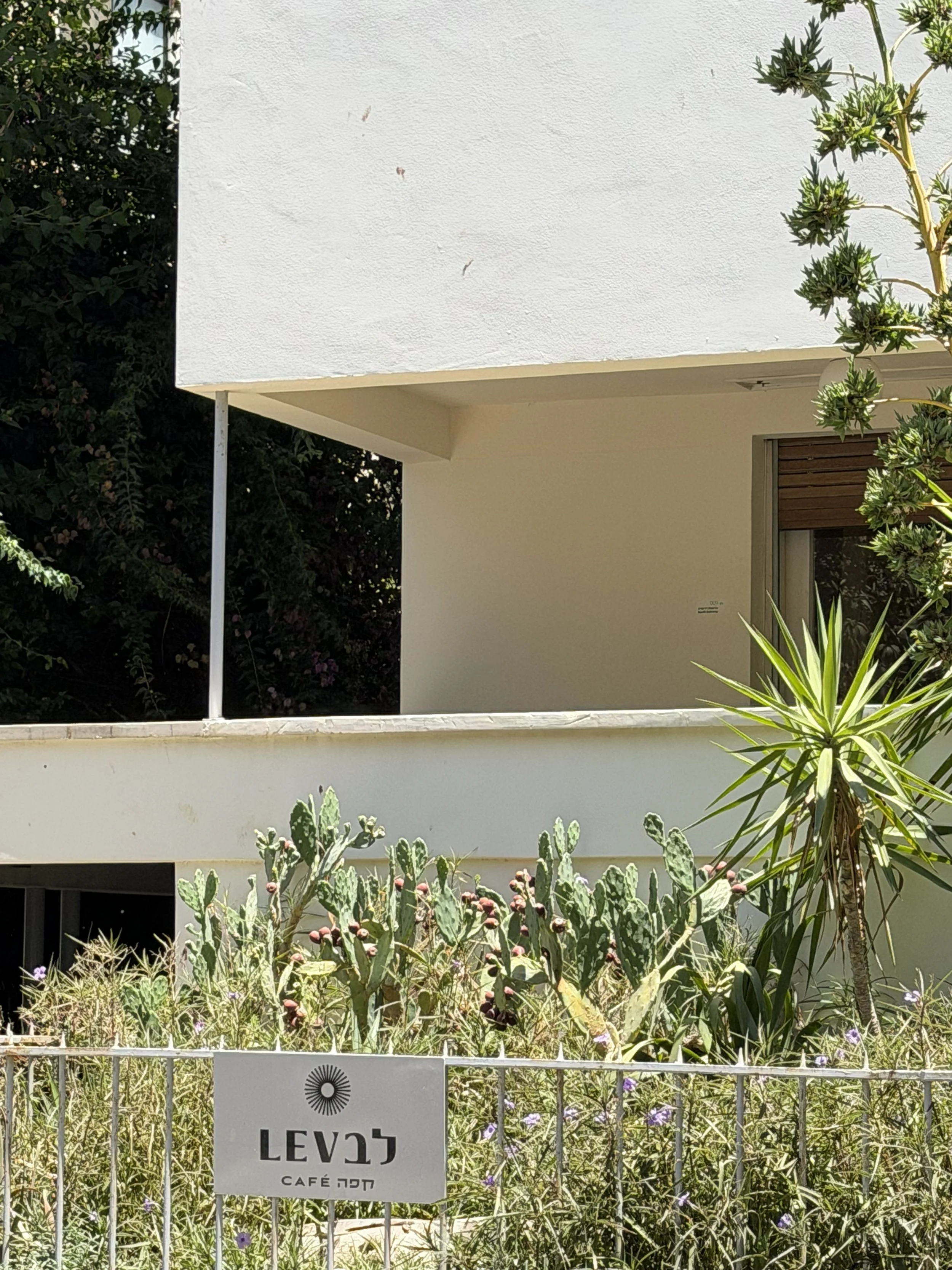 tel_aviv061.jpg