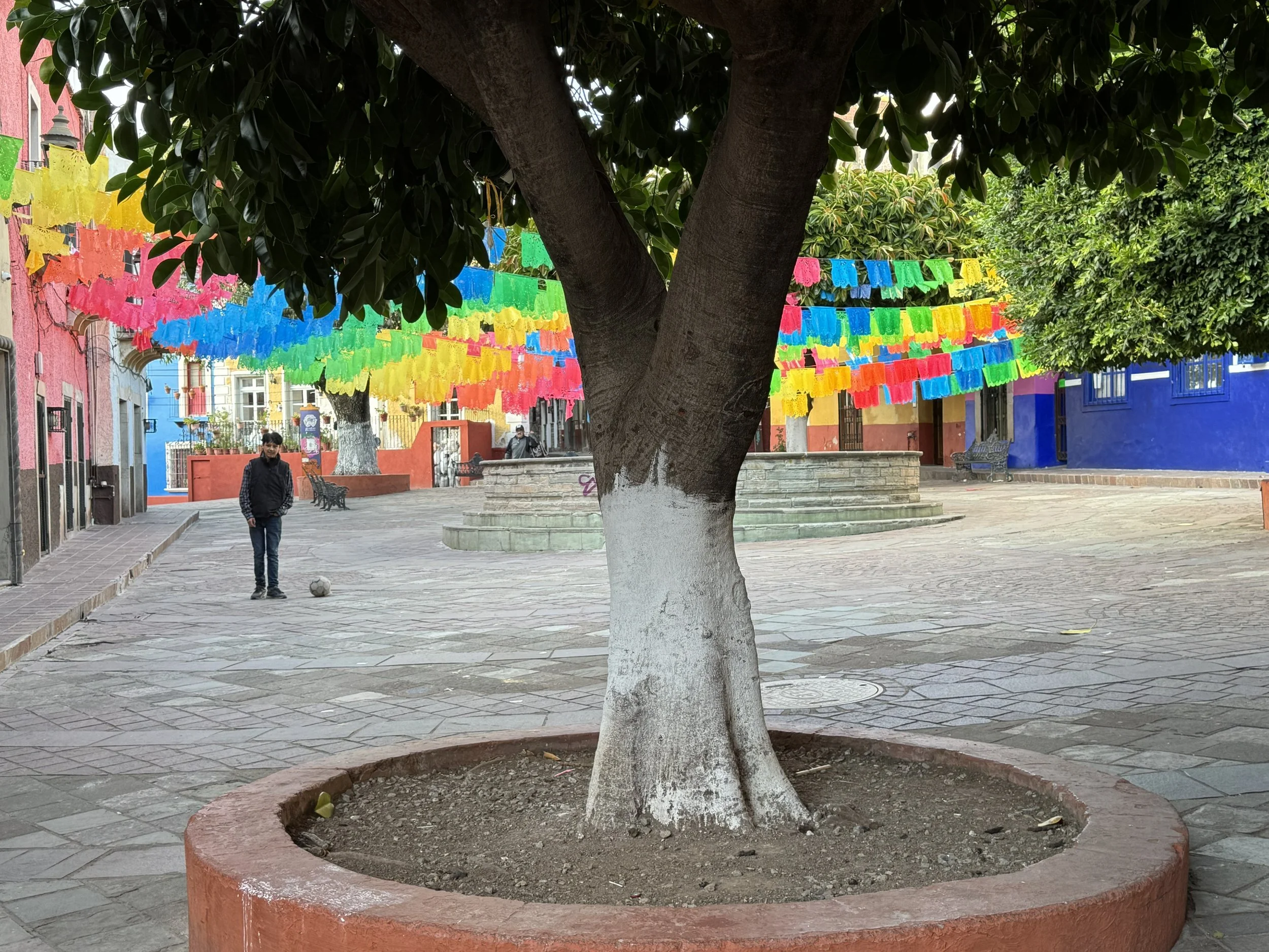guanajuato_final078.jpg
