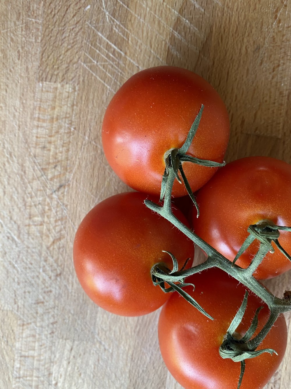 Ricotta Pesto Stuffed Tomatoes Made On Sundays