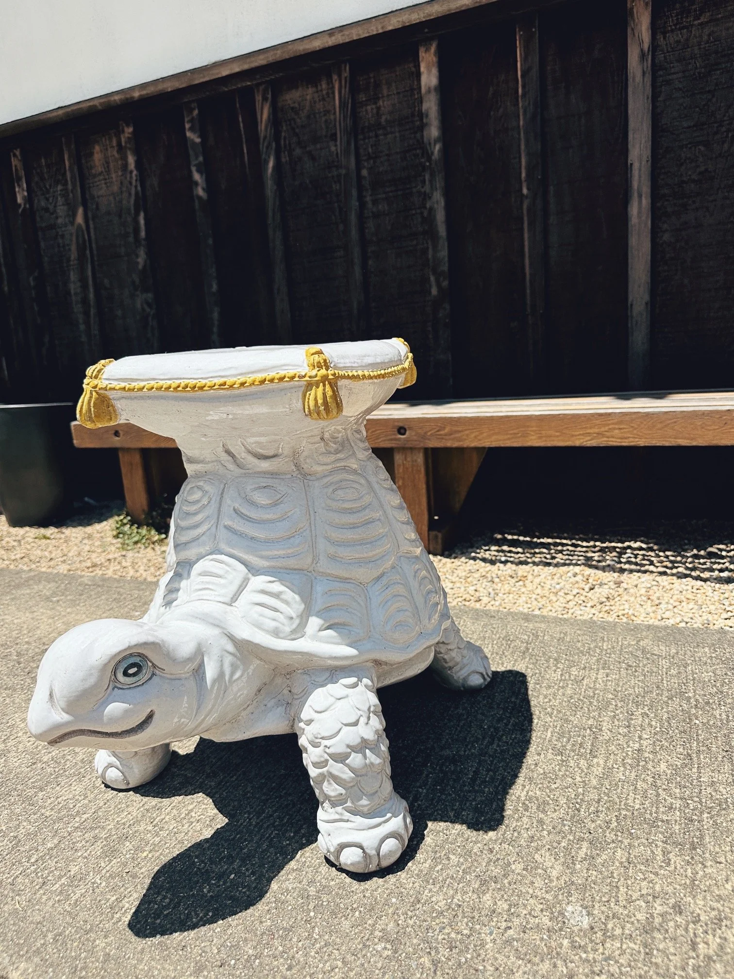 terra-cotta-italian-turtle (6).JPG