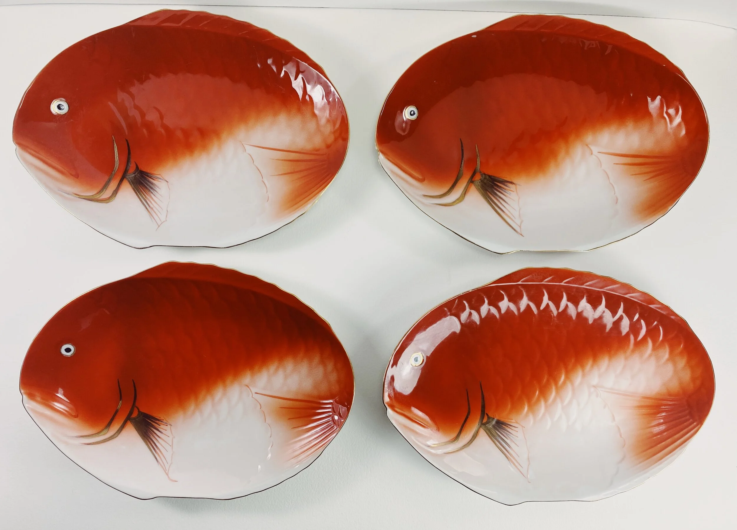 fish1  (4).JPG