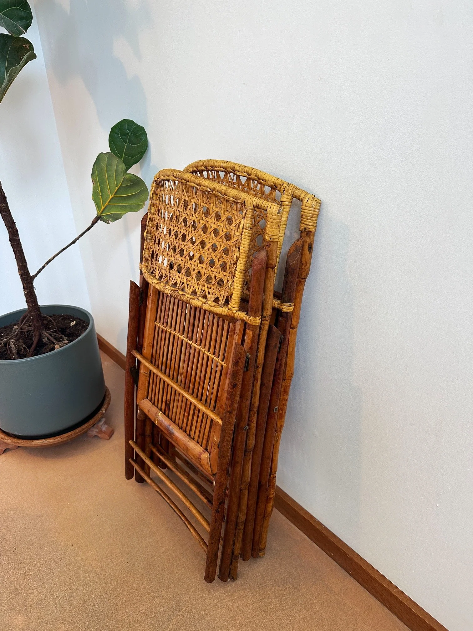 tortoise-cane-back-folding-chairs (13).JPG
