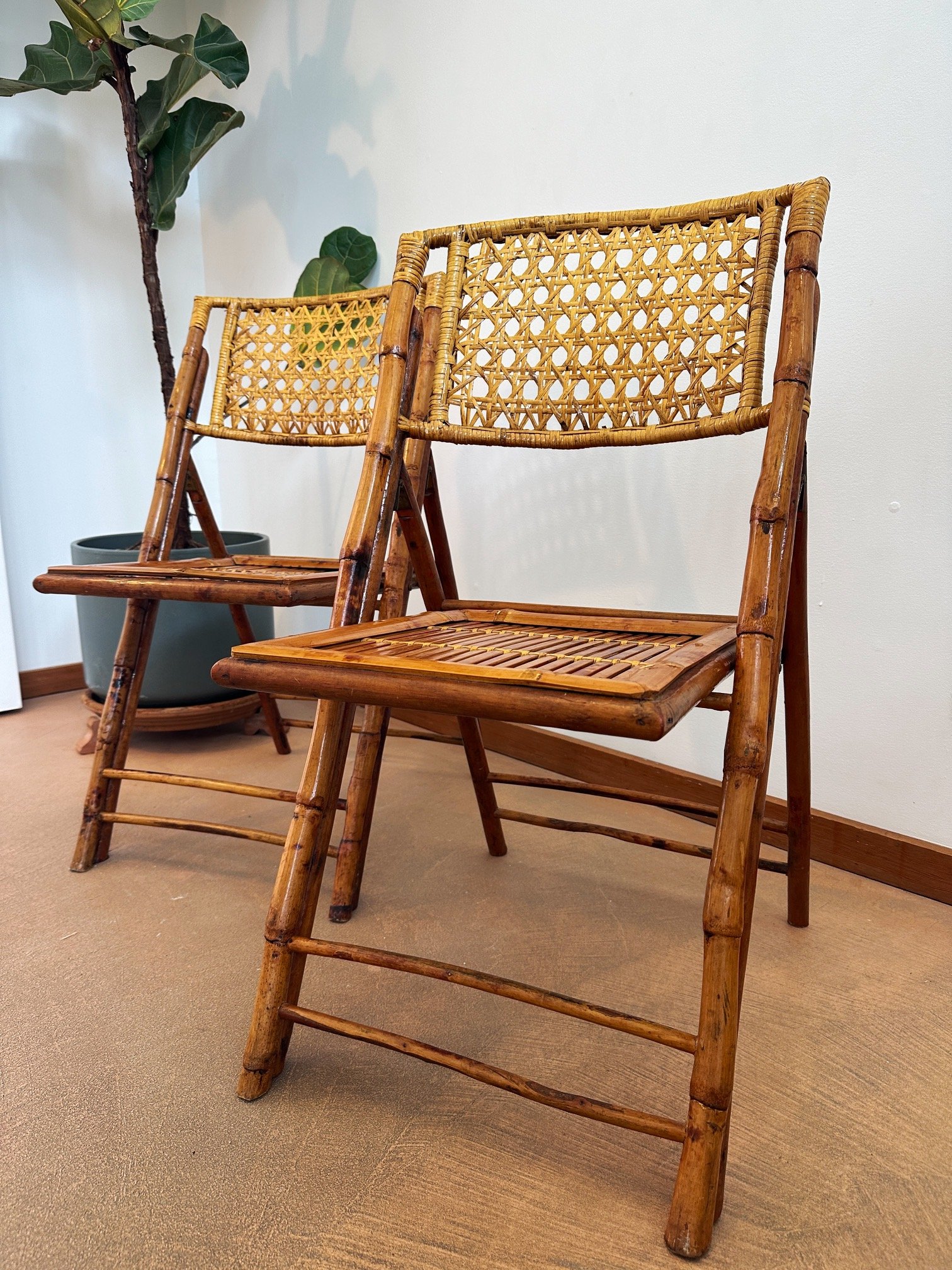 tortoise-cane-back-folding-chairs (3).JPG