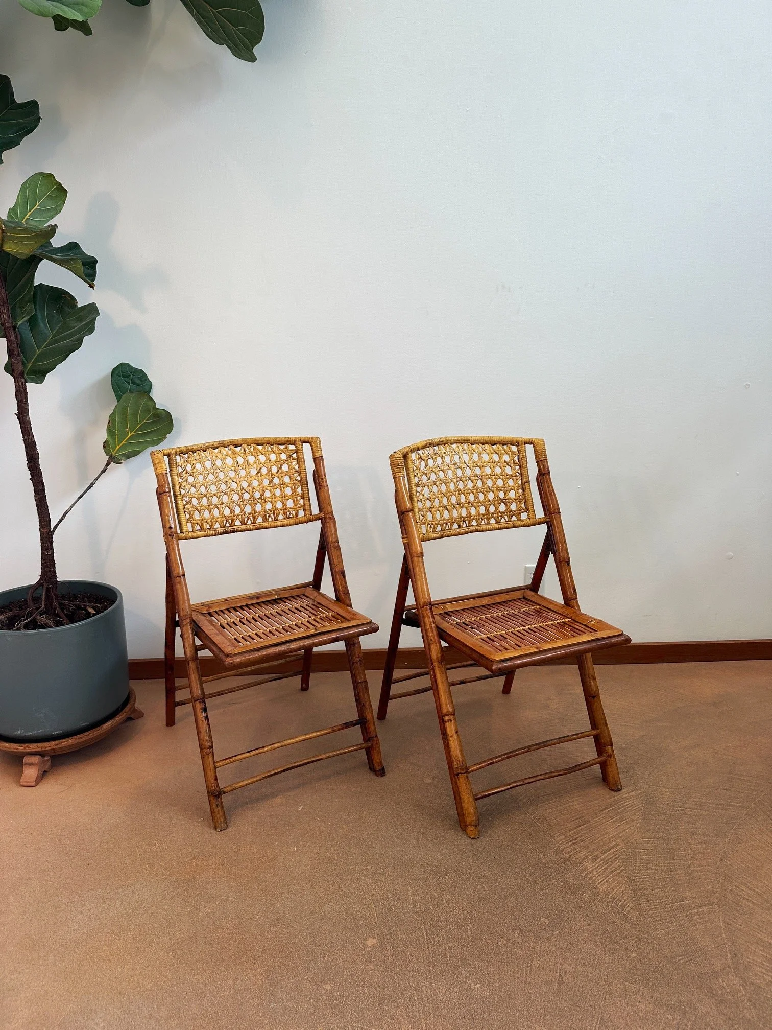 tortoise-cane-back-folding-chairs (6).JPG