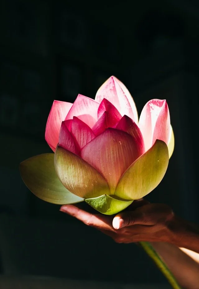śrī, abundance