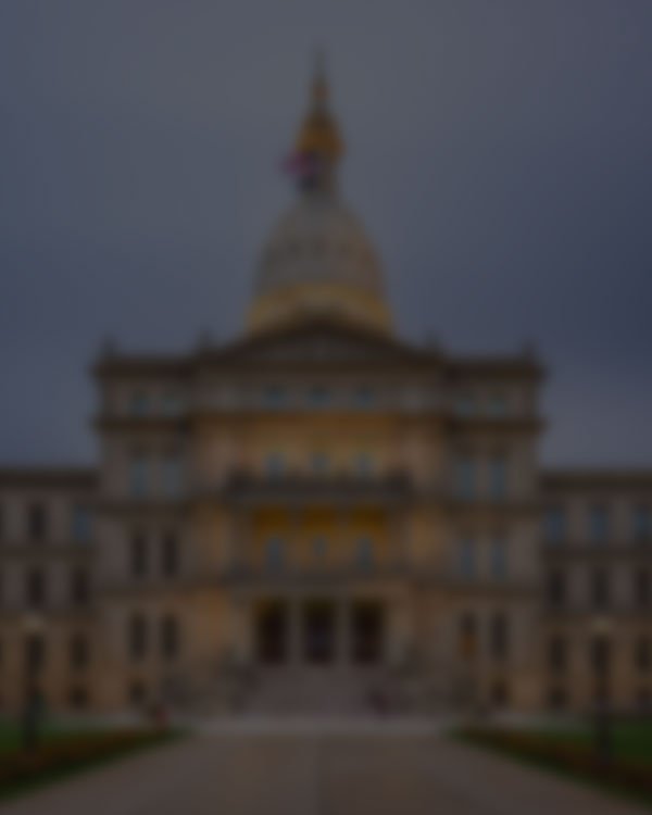 Michigan Legal Services