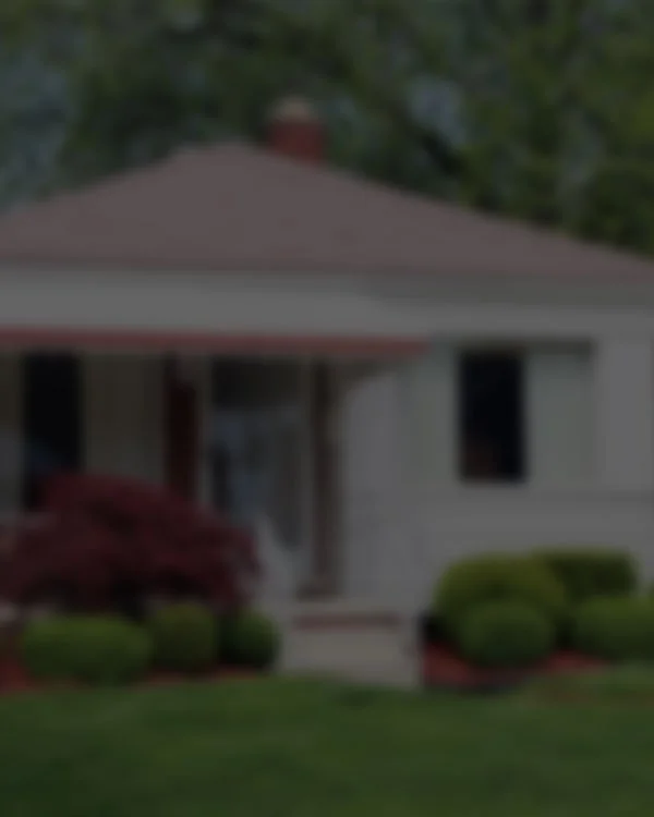 Michigan Legal Services
