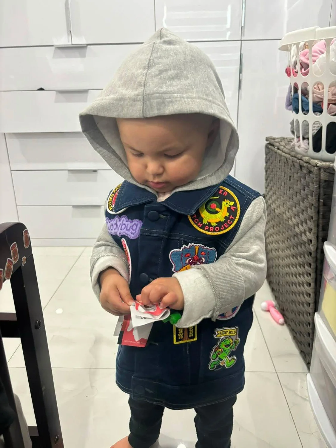 ladybug3.JPG