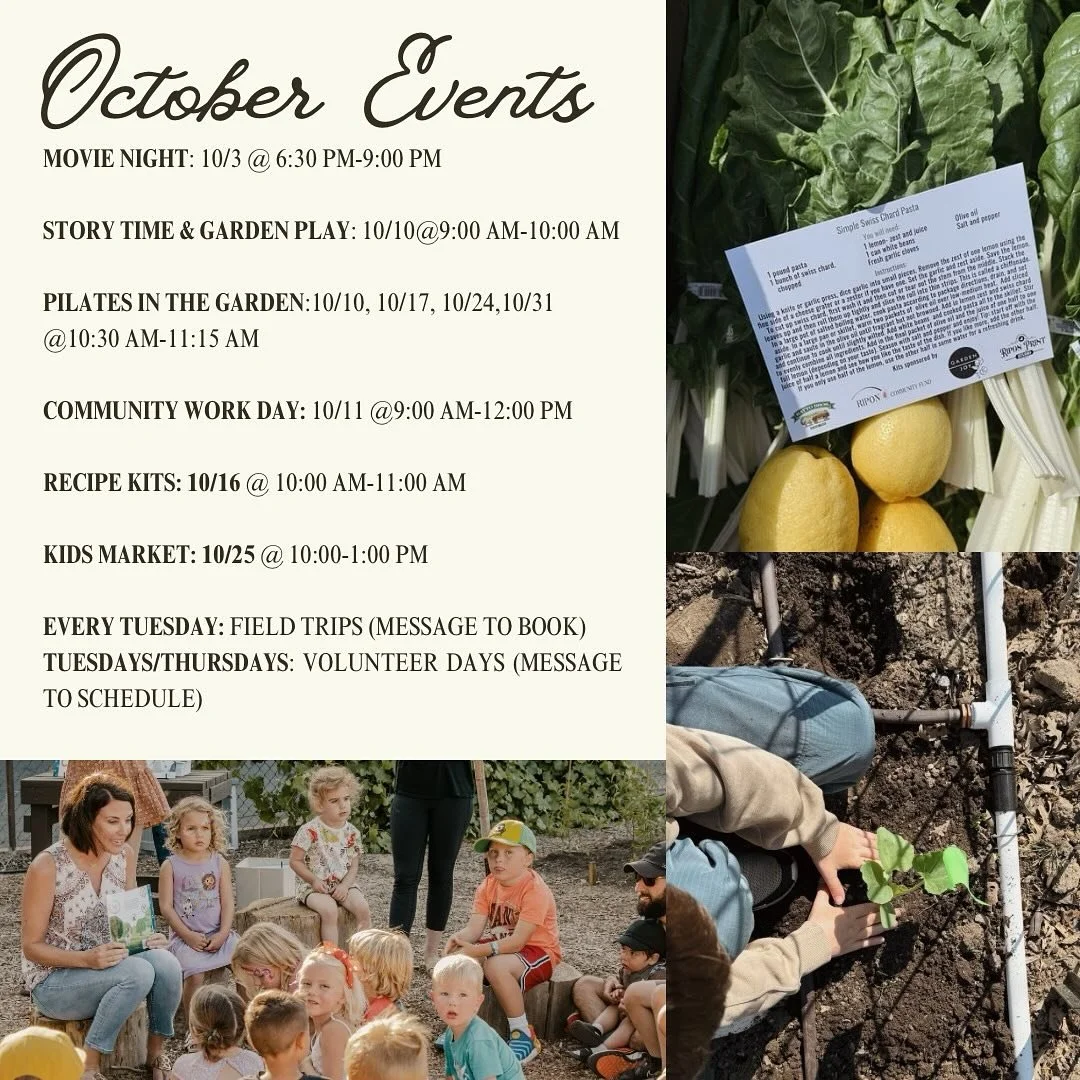 October&rsquo;s full of good things in the garden 🌿
Here&rsquo;s what&rsquo;s coming up this month &mdash; save the post so you don&rsquo;t miss out! 🍁