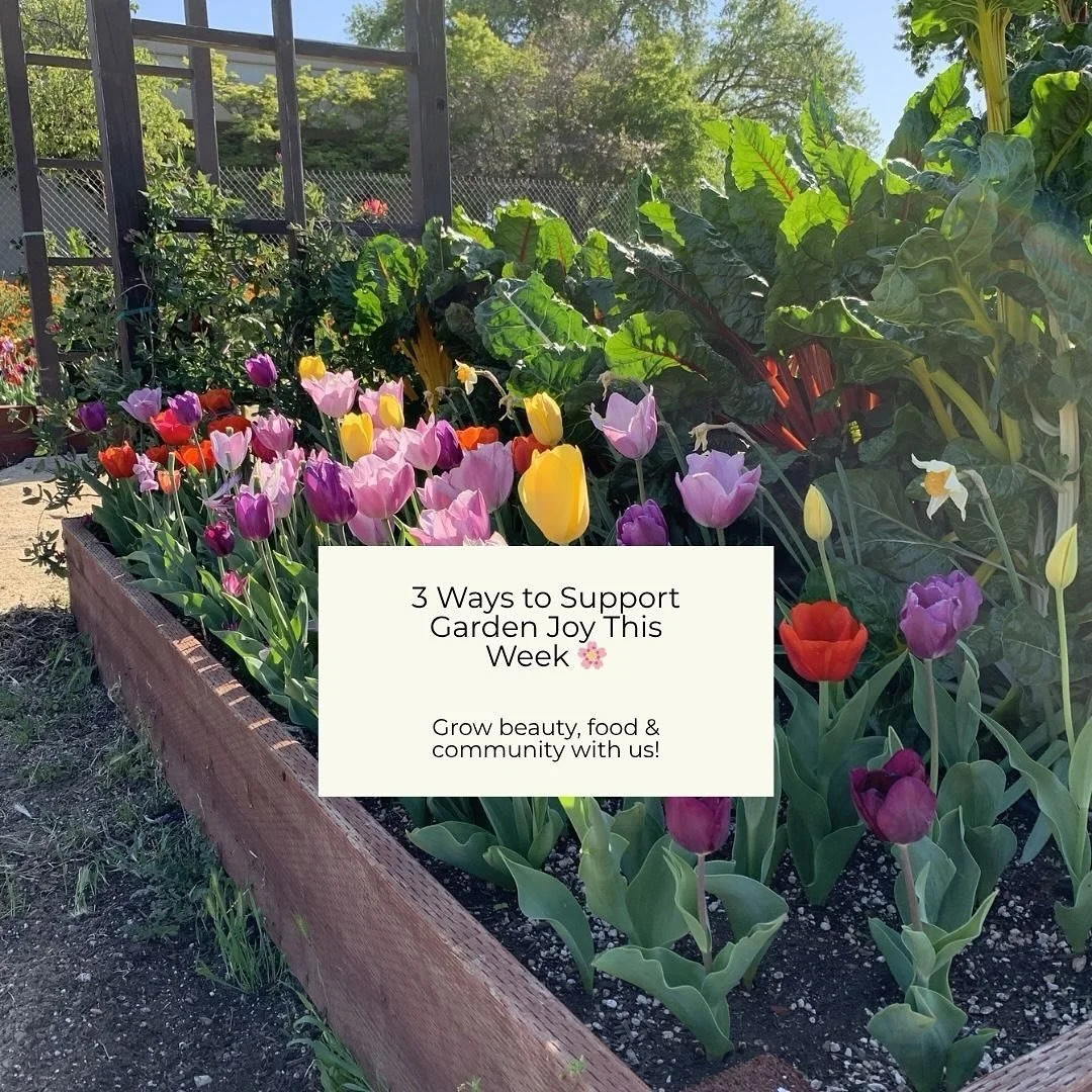 🌱 Three Ways to Support Garden Joy This Week! 🌷

1️⃣ Shop our Flower Bulb Sale &ndash; Bring color to your garden and support ours! (Link in bio to order 🌼)

2️⃣ Join our Work Day &ndash; This Saturday from 9am-12. Help us prepare the beds for win