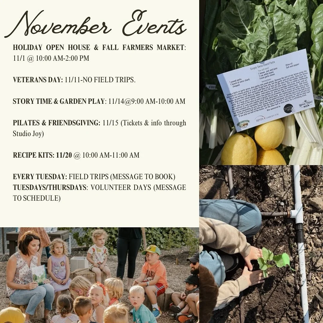 Happy Halloween 🎃 from all of us at Garden Joy! We&rsquo;ve got a lot of fun brewing for November, starting tomorrow with our @riponfarmersmarket and @riponchamberofcommerce Holiday Open House and Fall Farmers Market! Join us and our incredible vend