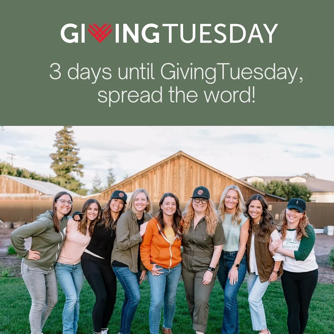 🎁As we step into this giving season, we'd like to express heartfelt gratitude to our donors, volunteers, staff, @riponfarmersmarket vendors and patrons, and our community for your unwavering support throughout 2025!

Thanks to your generosity, we've