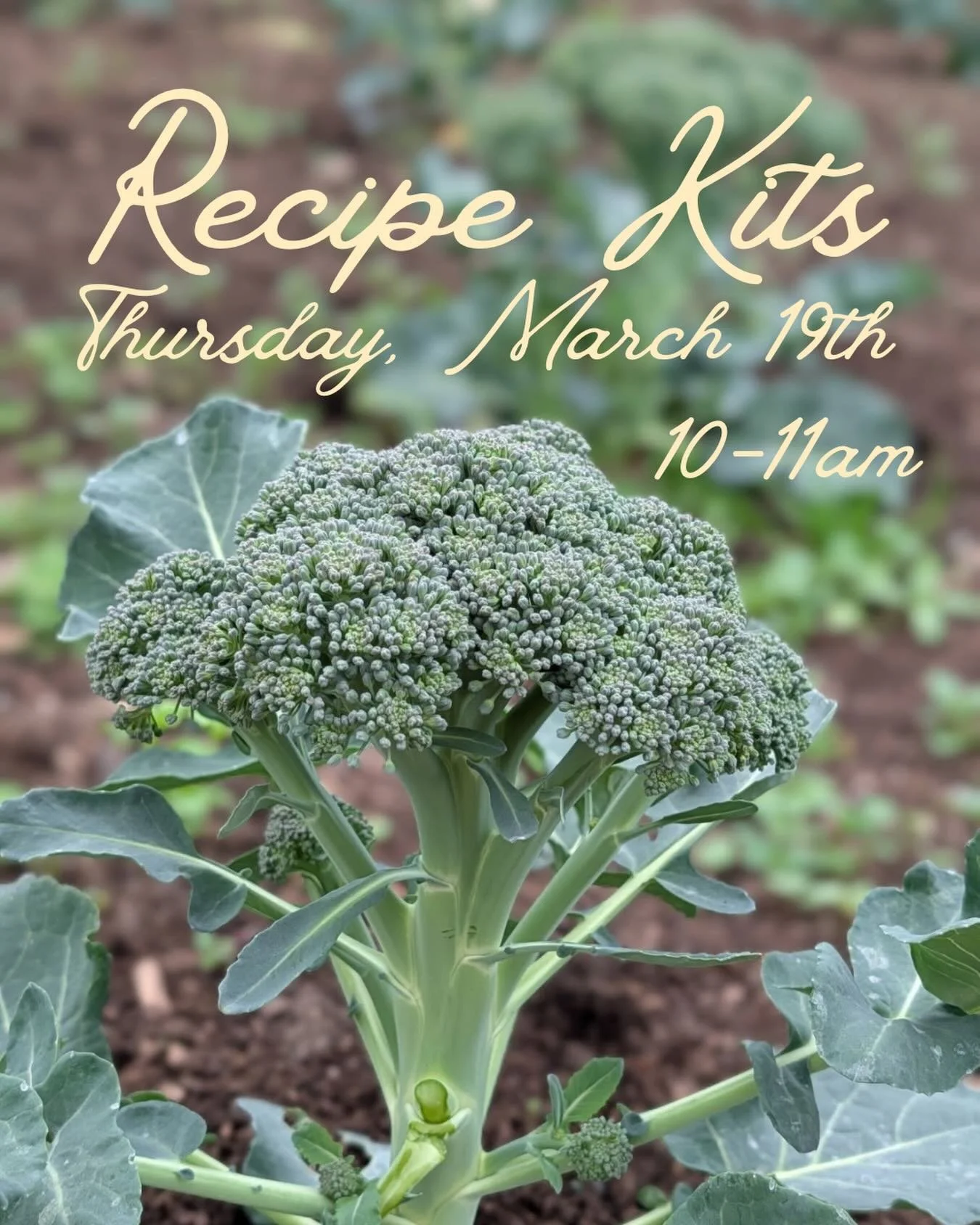 It&rsquo;s Recipe Kit Day this Thursday, March 19th! You&rsquo;re invited to join us from 10:00-11:00am as we assemble this month&rsquo;s recipe for students right here in Ripon!

As always we are beyond grateful for our partners Ratto Bros, Ripon Pr