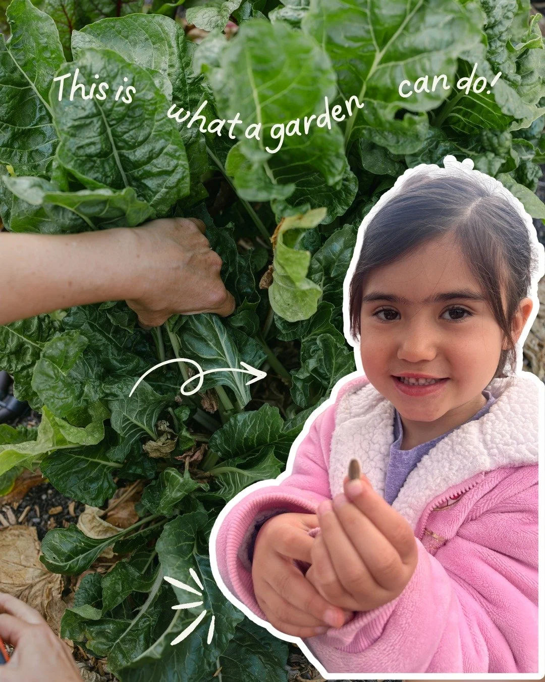 🌱 THIS is what a garden can do. 💚

It's National Garden Week, and we're celebrating more than flowers and fresh vegetables we're celebrating community.

Every tomato, cucumber, squash, and leafy green grown at Garden Joy is donated to local food ba
