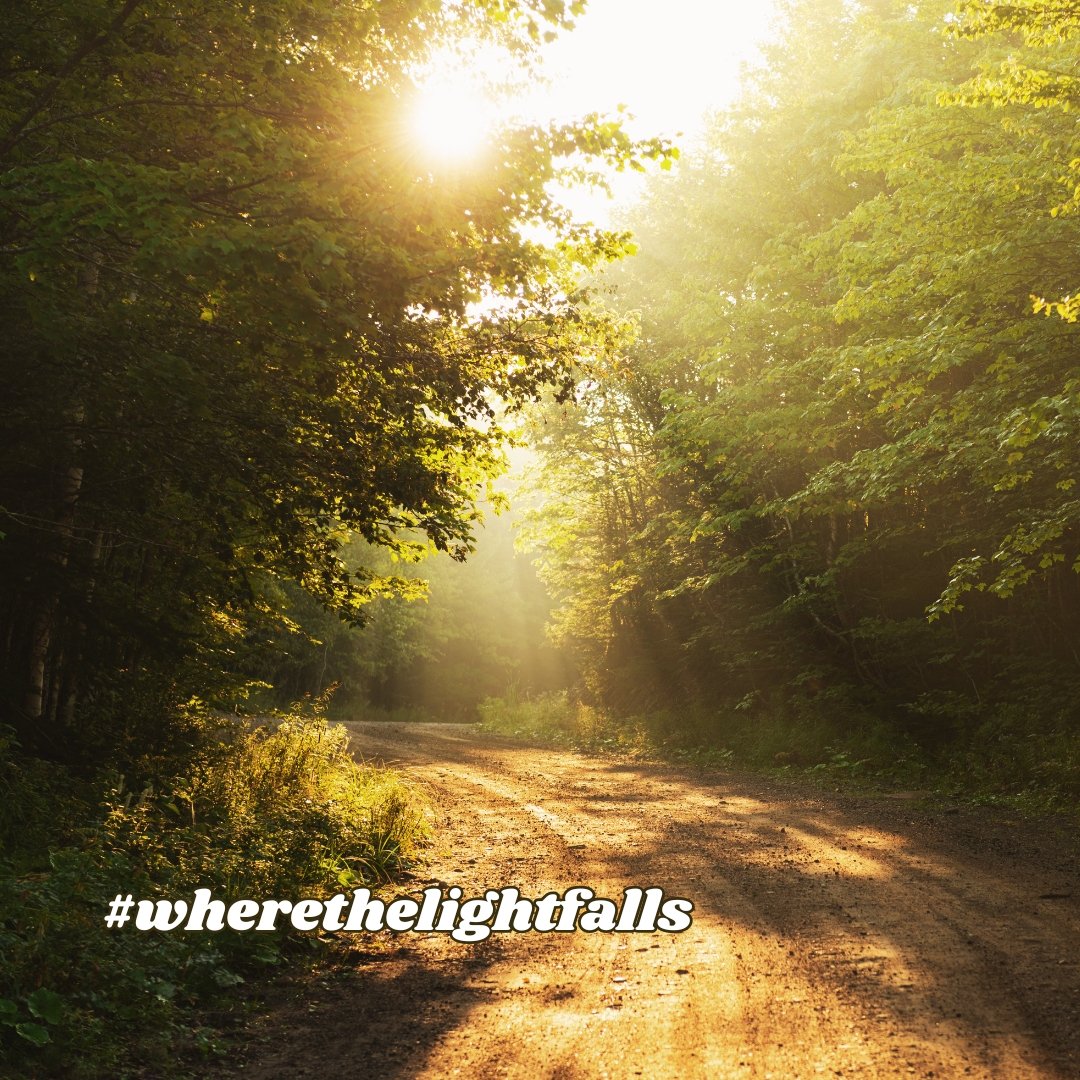 Where the Light Falls: Roots & Roads in the South