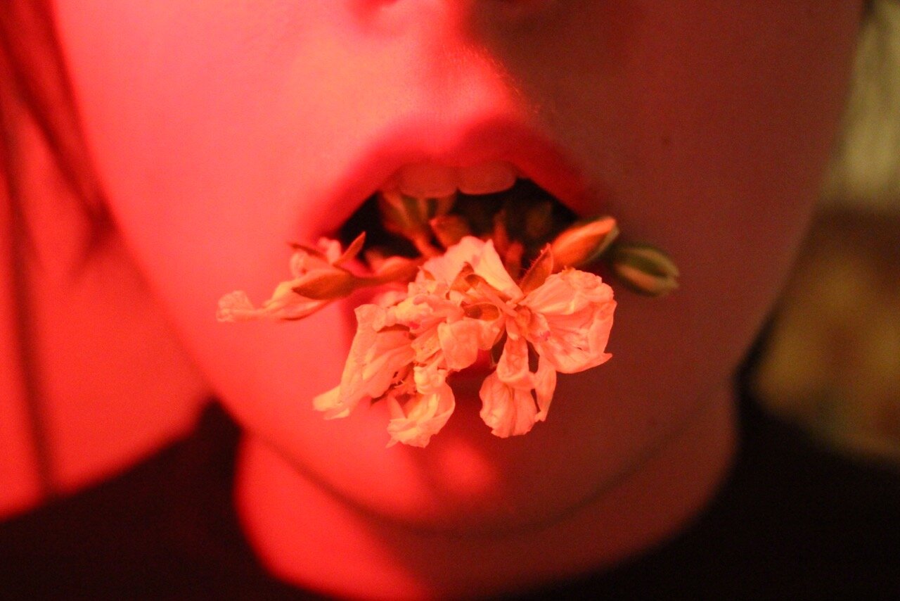 Swallow (2016)