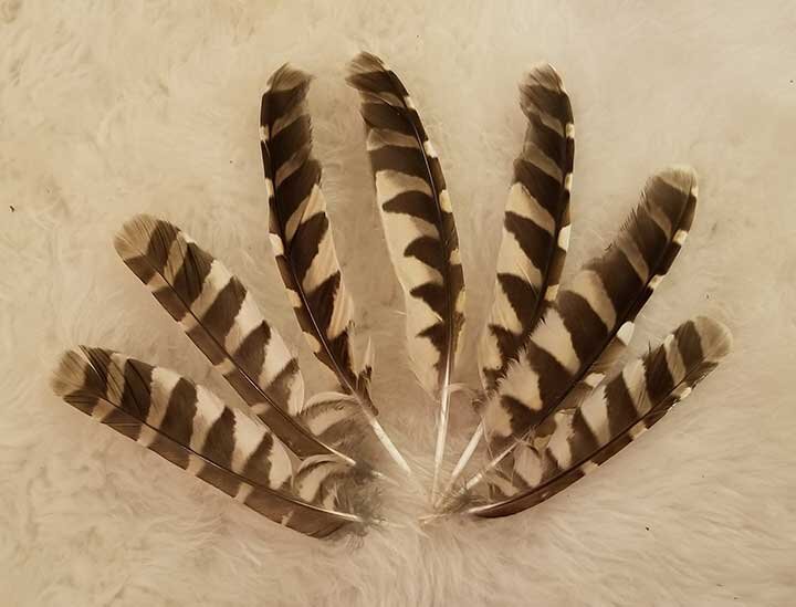 Story behind the brand…