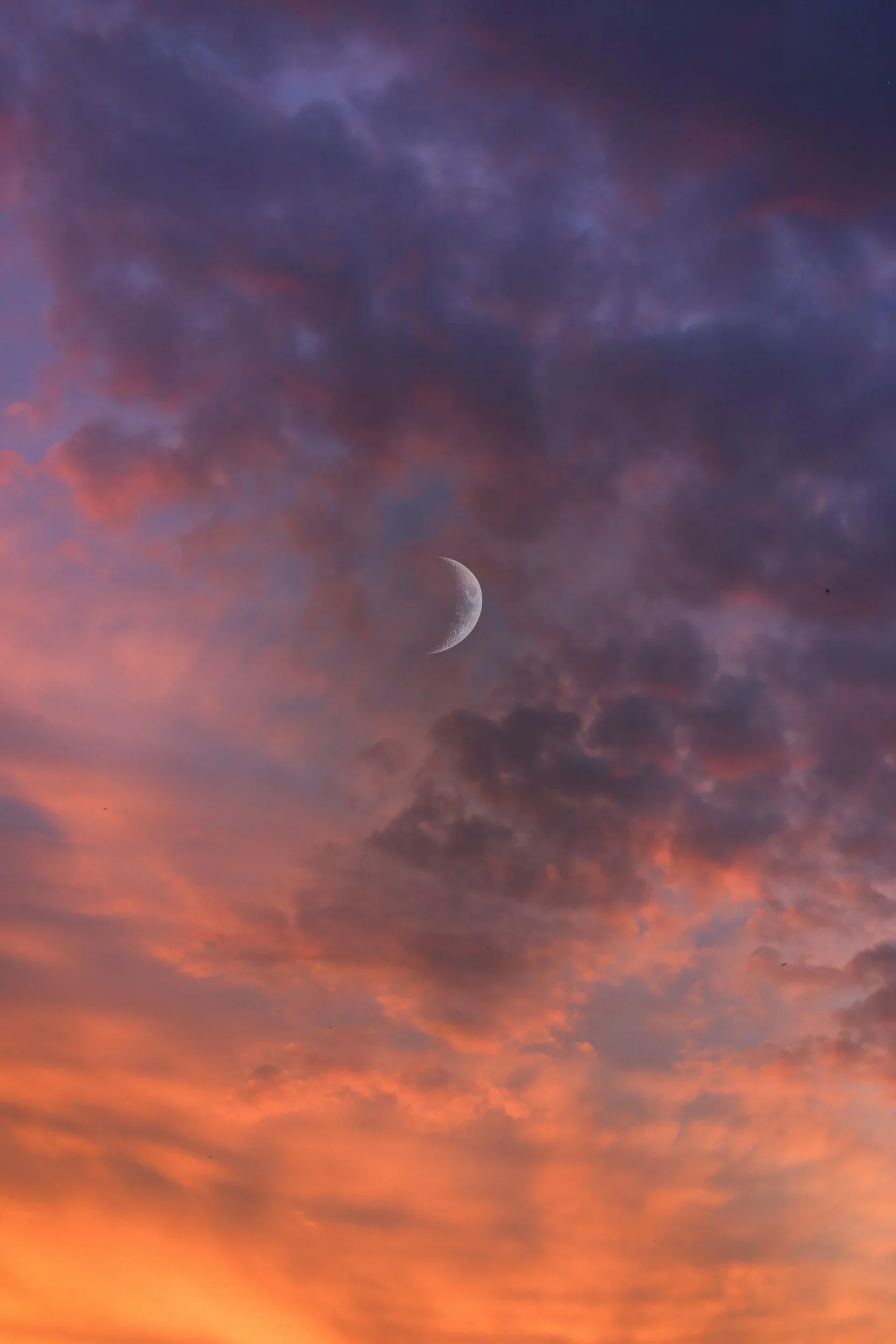 Moon Mná Celtic Women's Seaside Circle