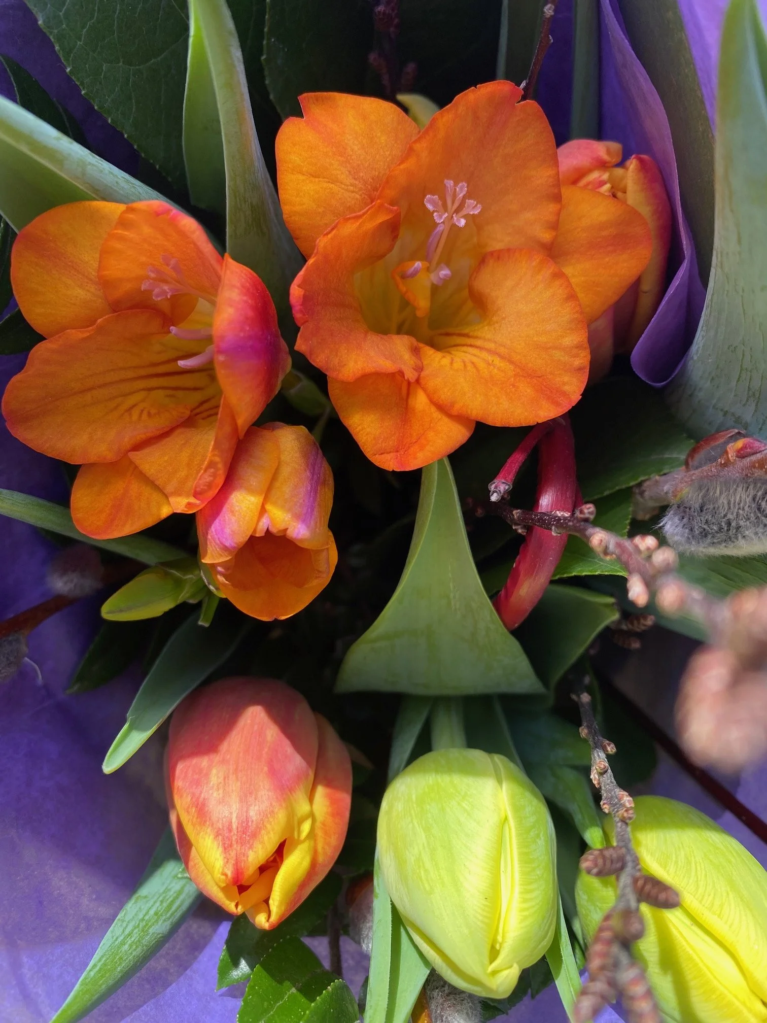 Ostara, Éostre…Easter…Estrogen?