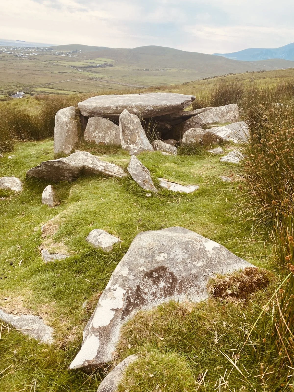 c4c0c252-d338-44e8-a2f2-74f11d26accc (1).JPEG