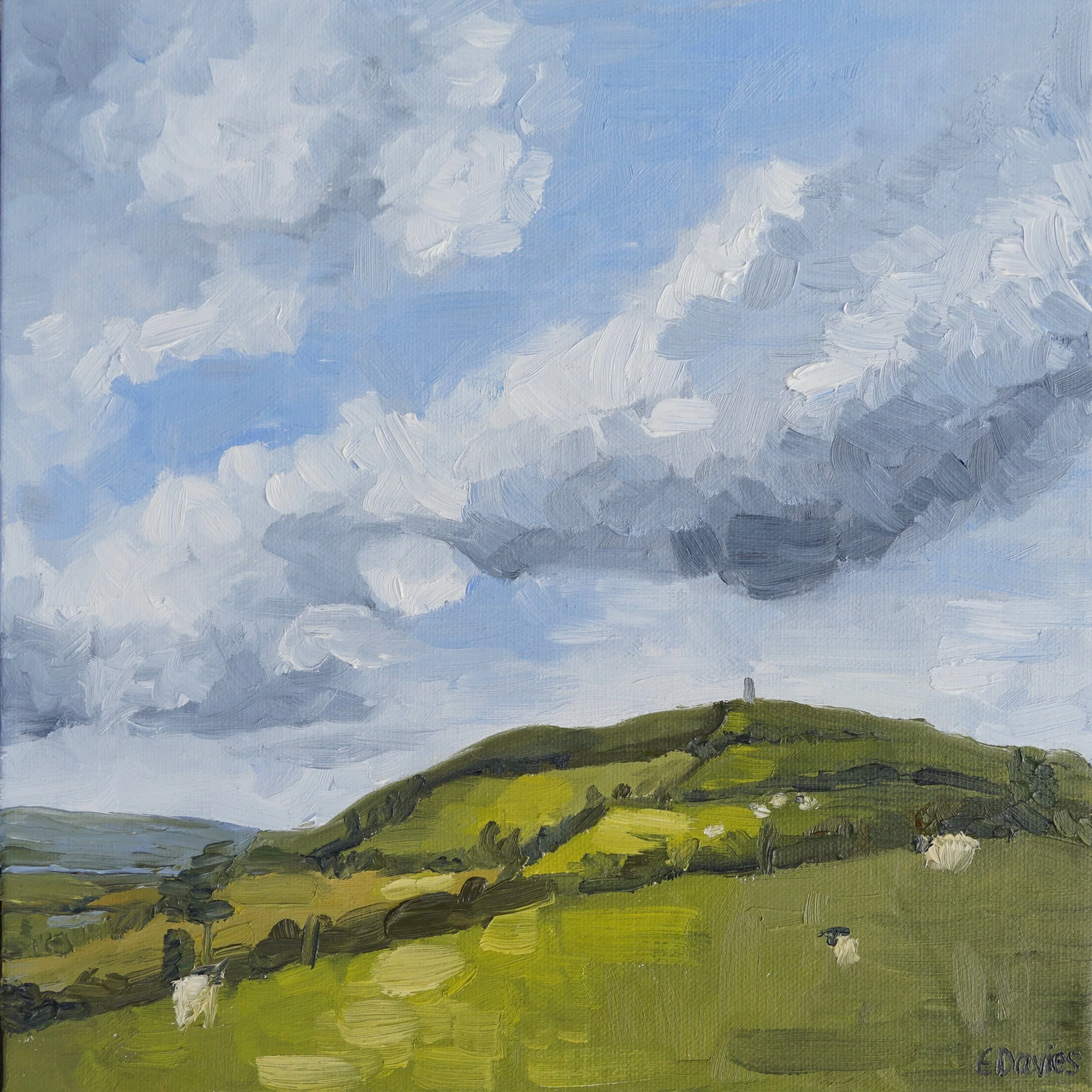 Braunton Hills 2