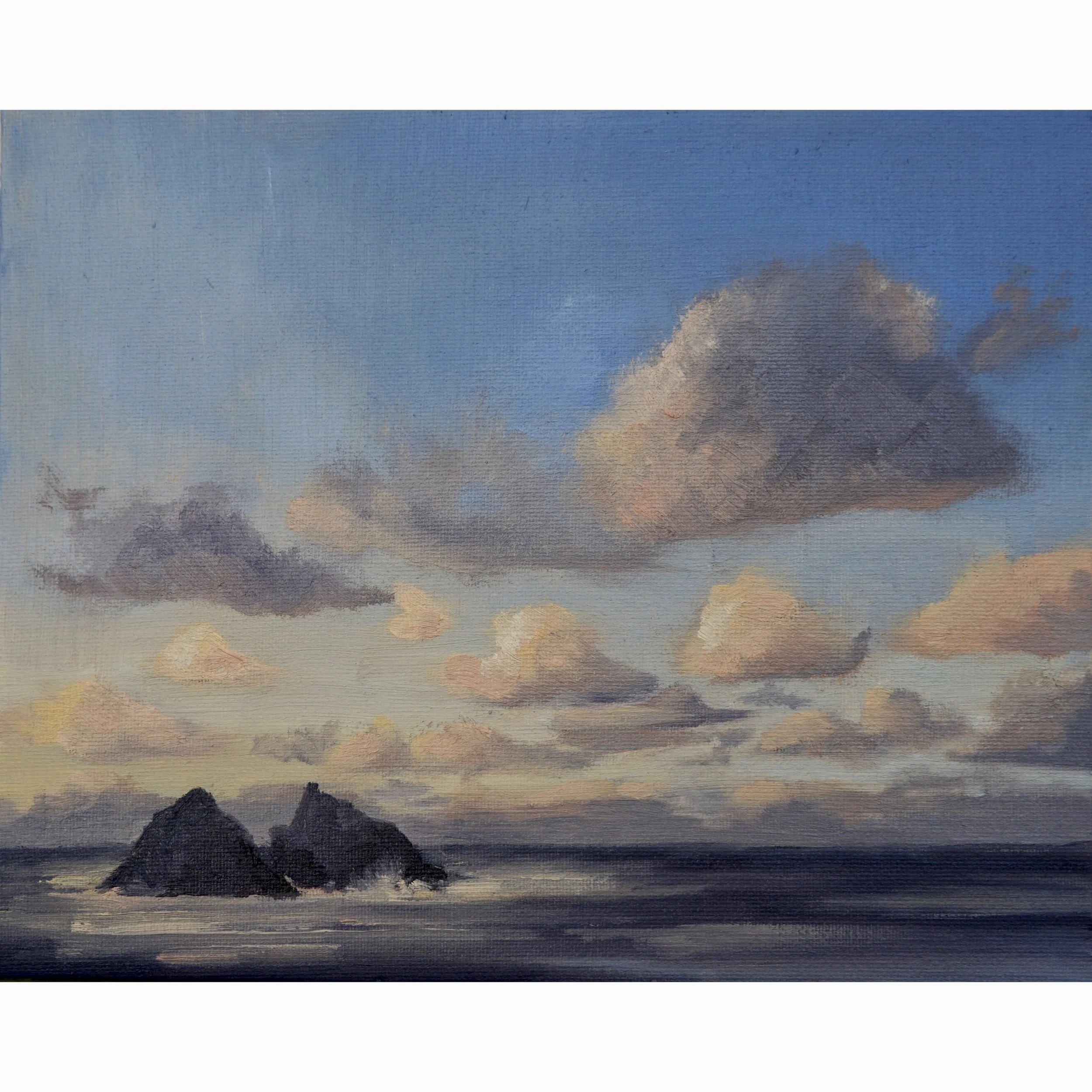 GULL ROCKS AT GOLDEN HOUR
