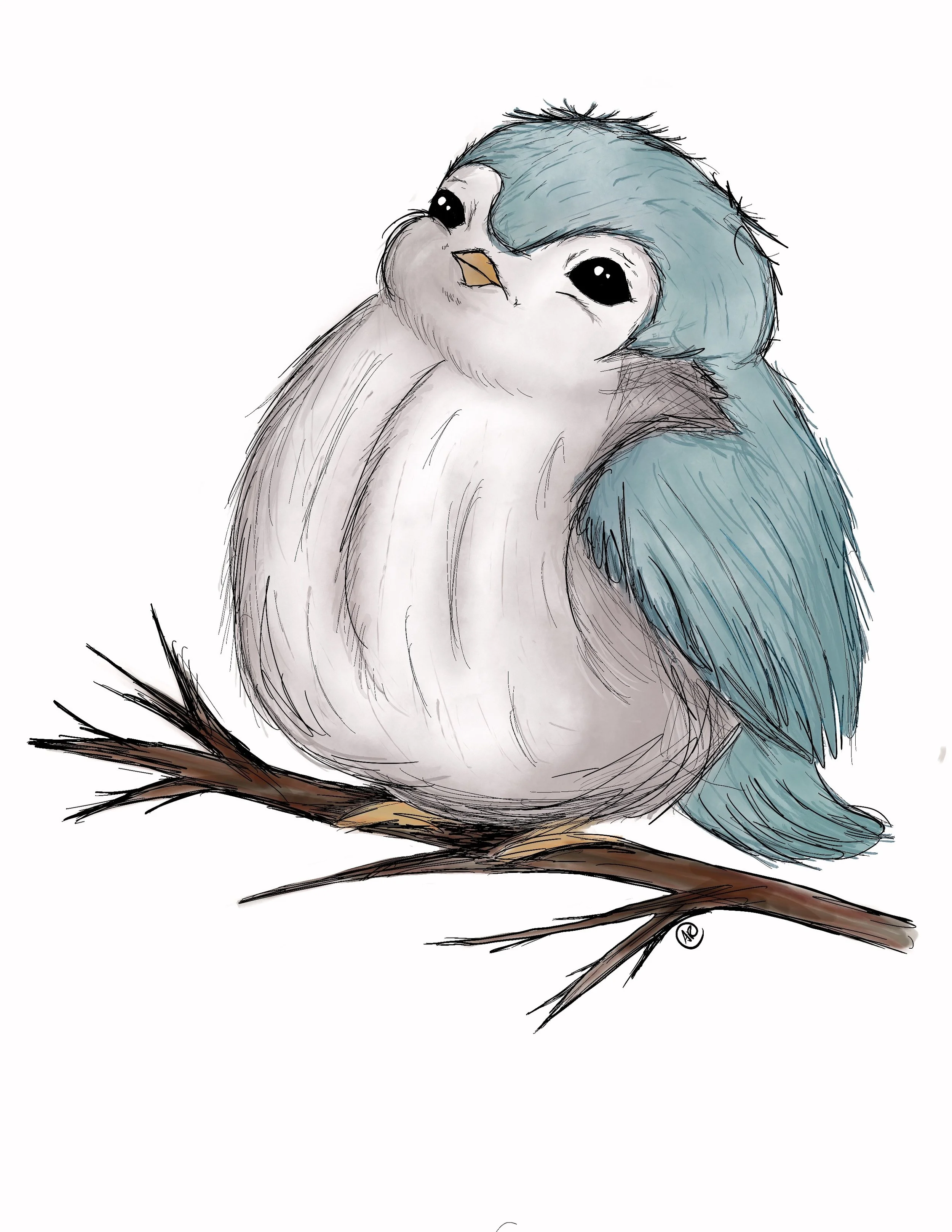 Duncan the Bird Art
