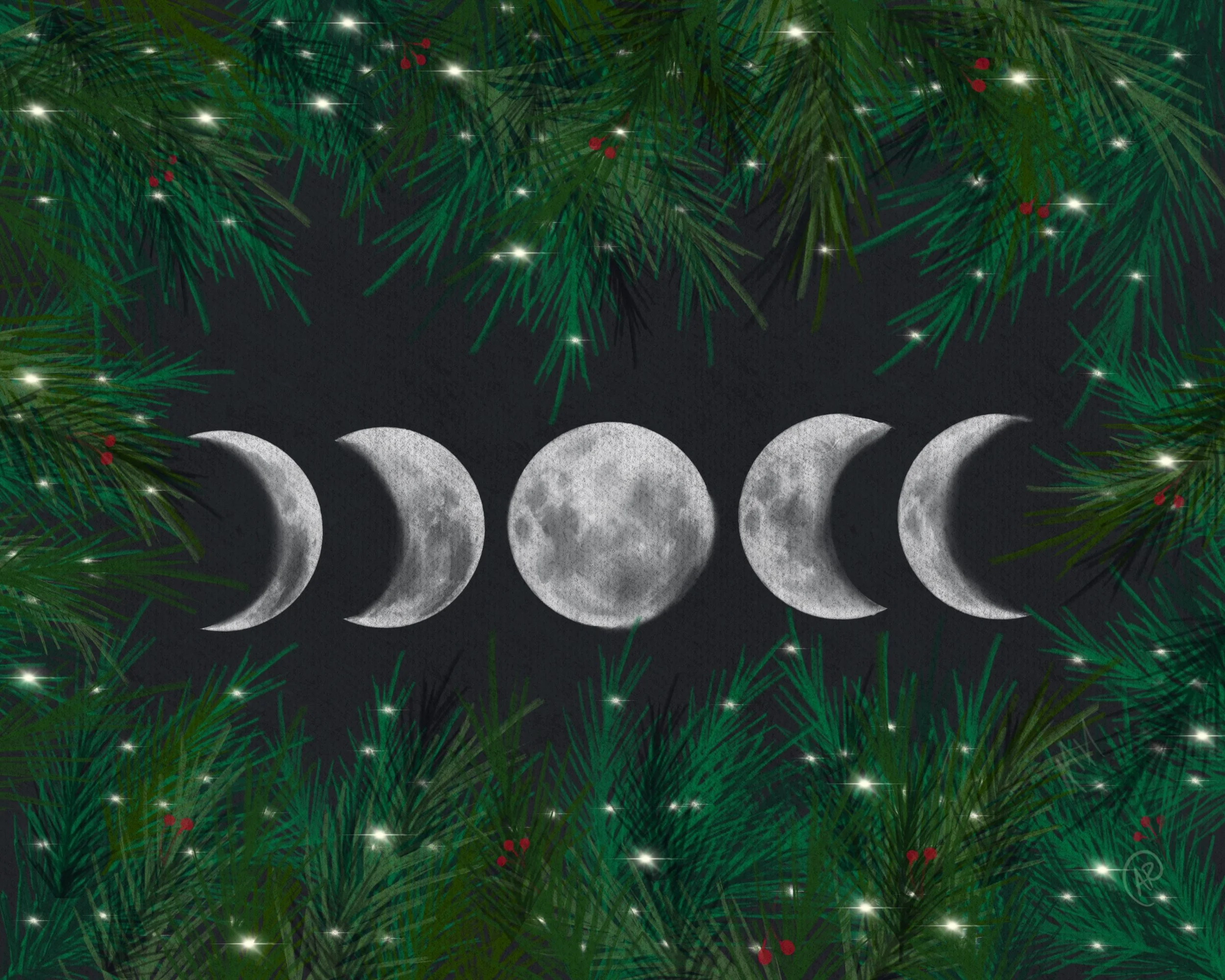 Winter Moonphase