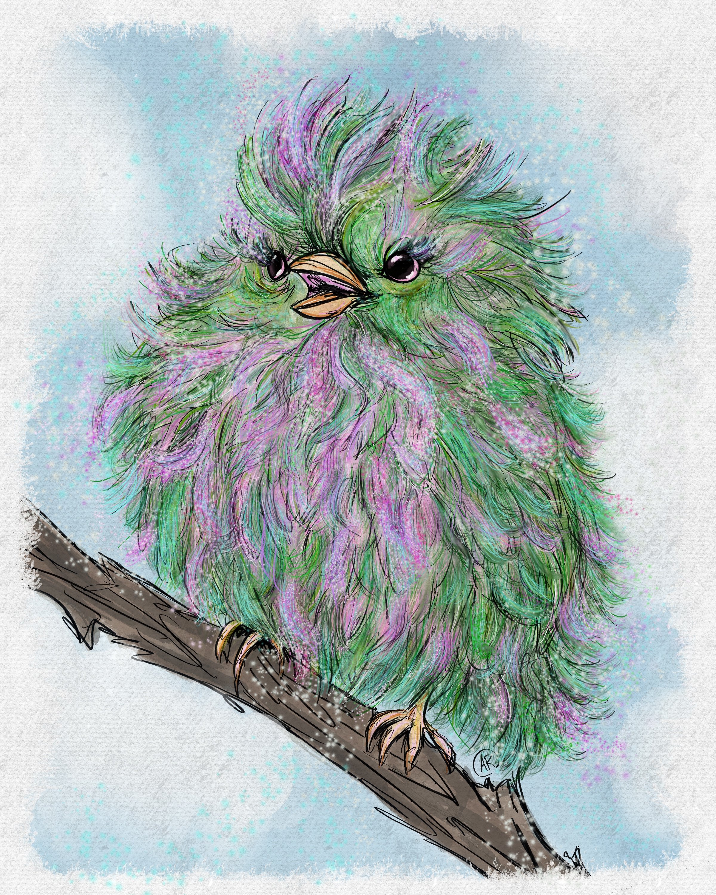 BIRDY PRINT.jpg