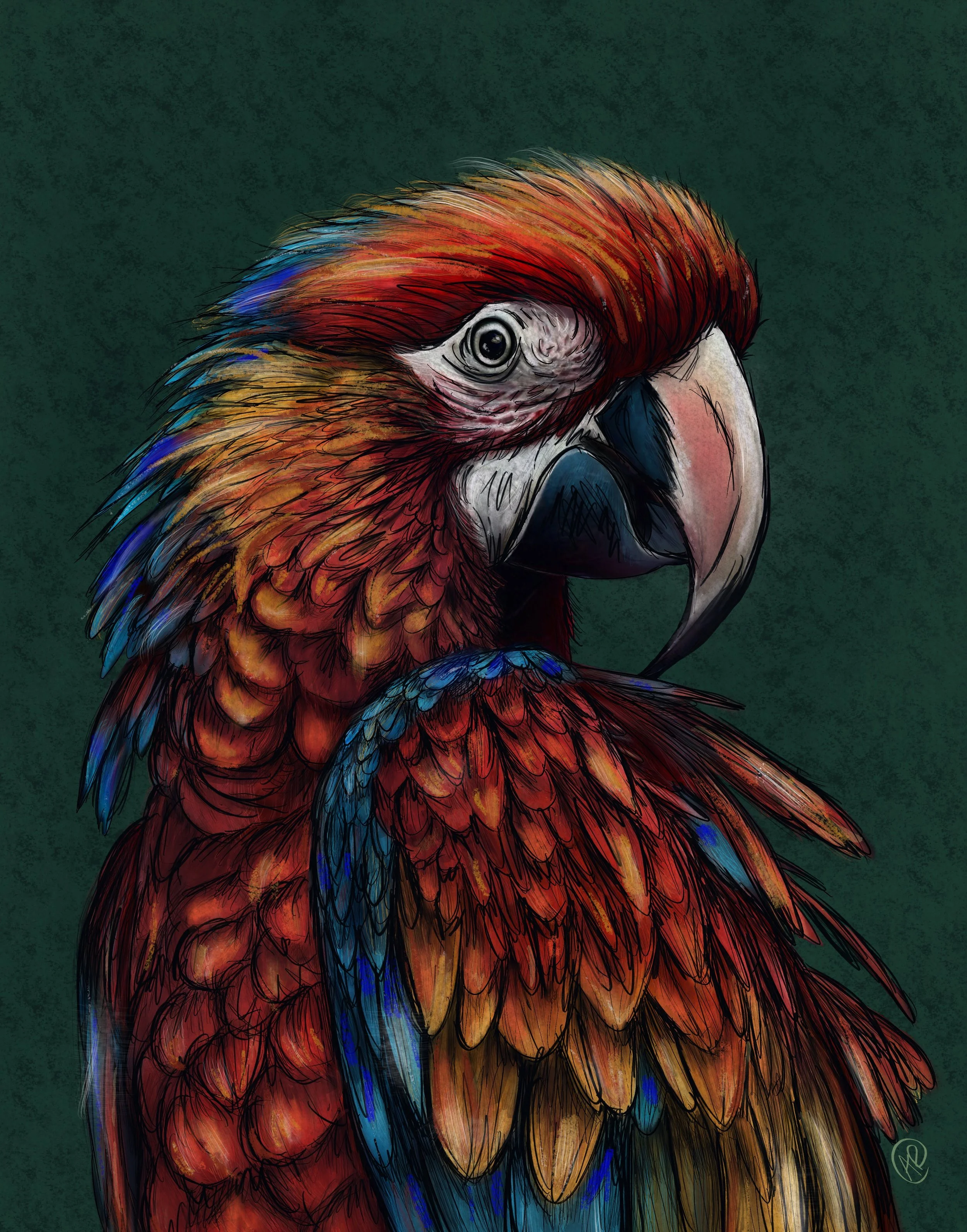 Parrot Art