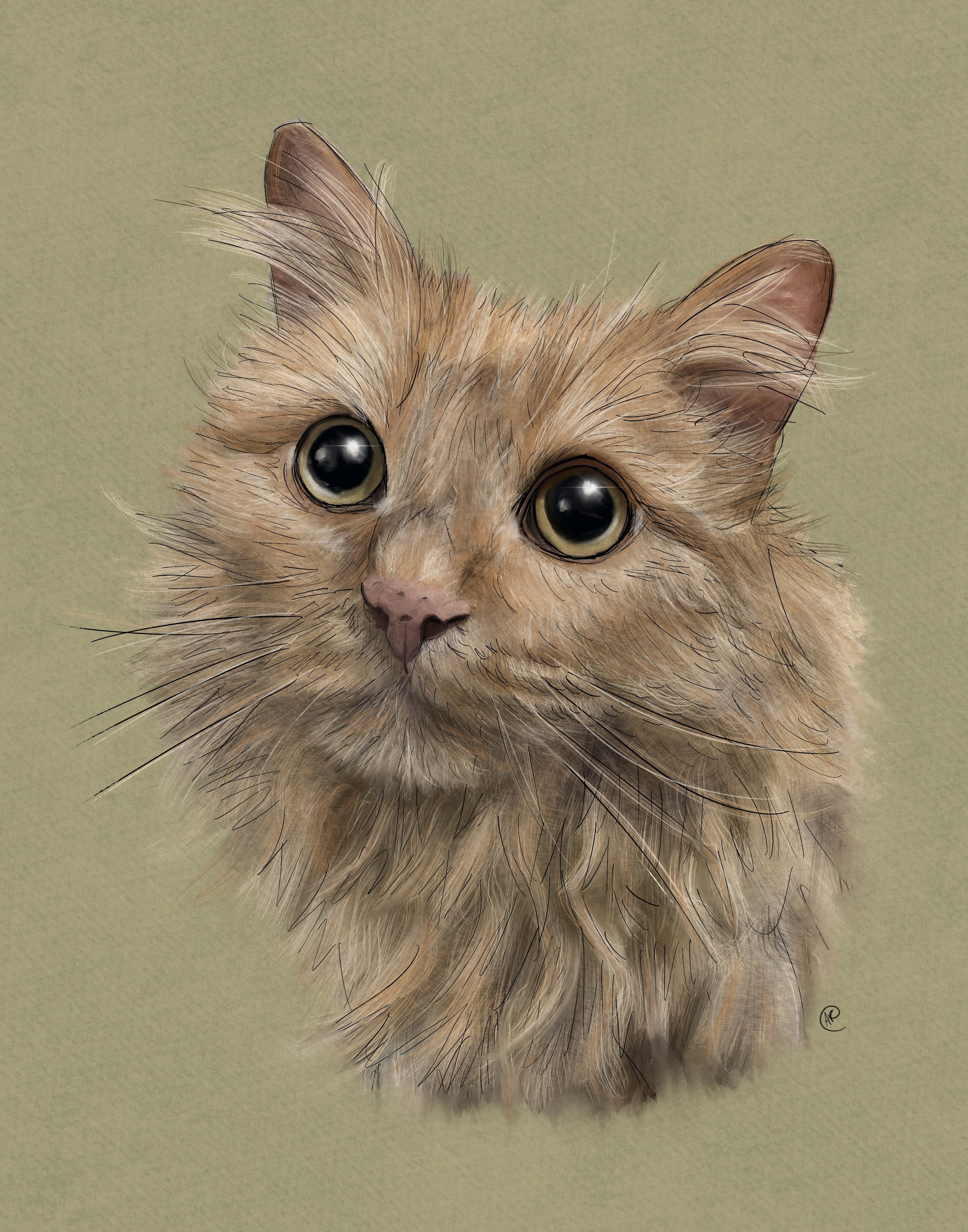 Garbonzo Cat Art