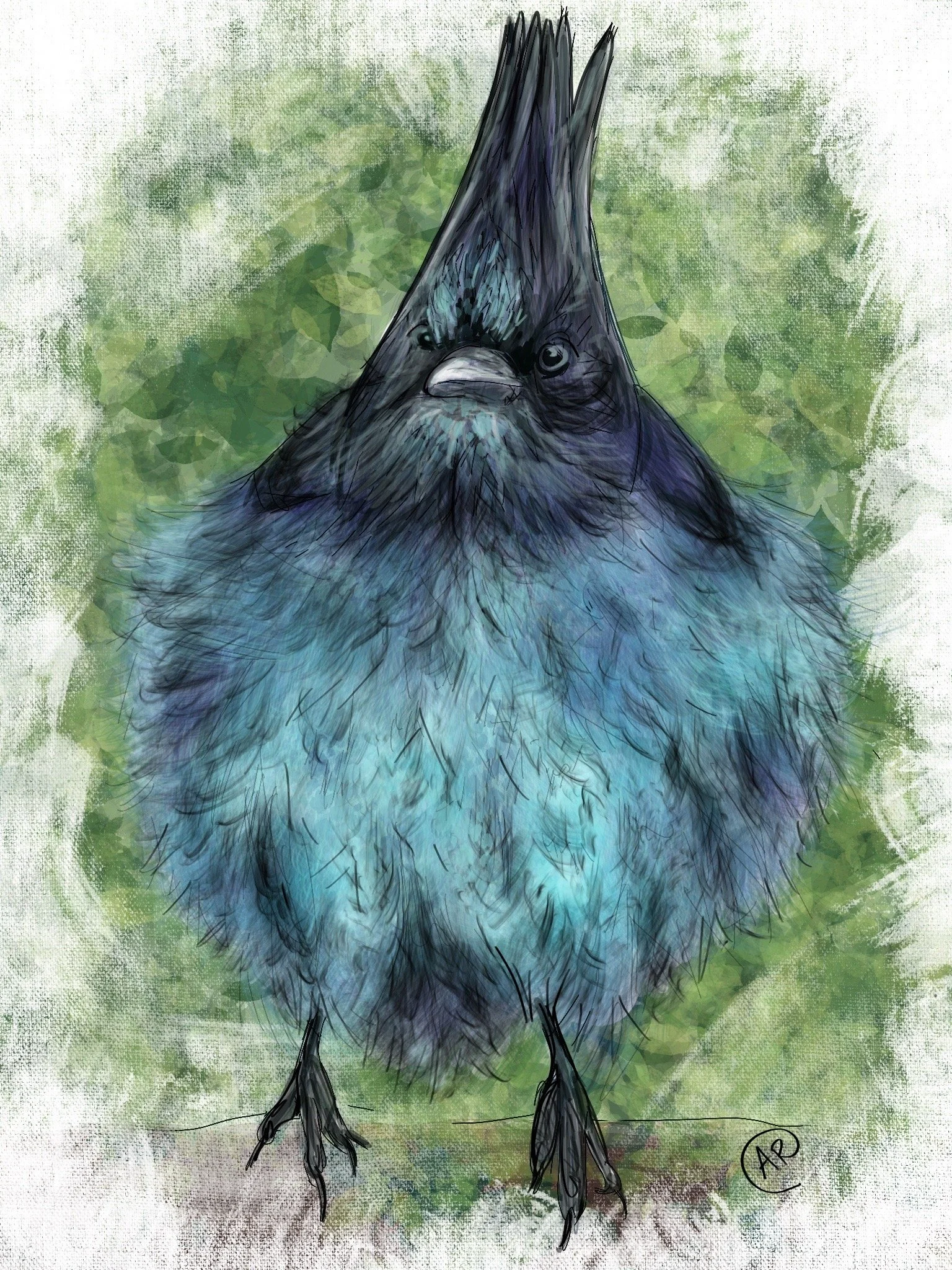 Frankie the Bird Art