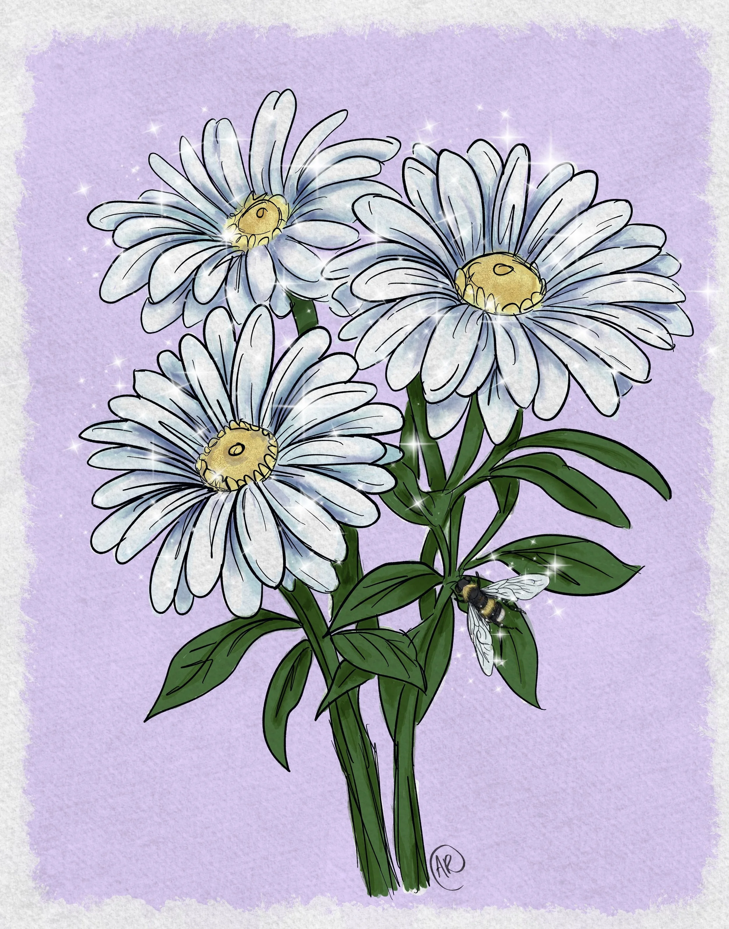 DAISIES PRINT.jpg
