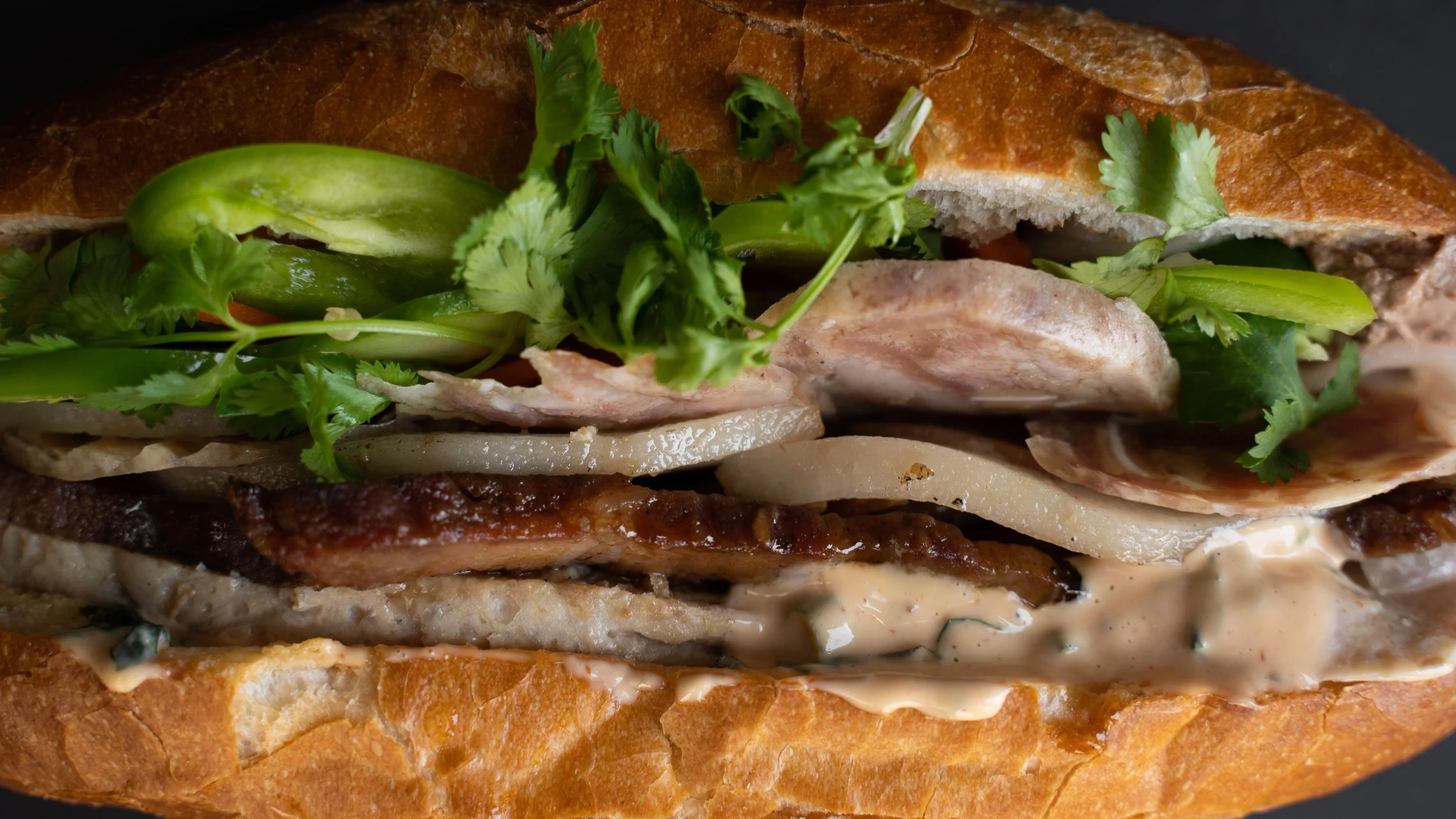 sammy 6 close up (1 of 1).JPG