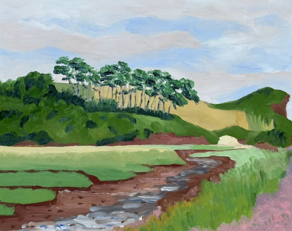 #1273 Budleigh Salterton Estuary