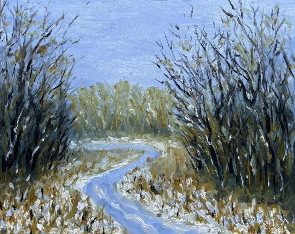 #1291 Snow, Wyre Forrest