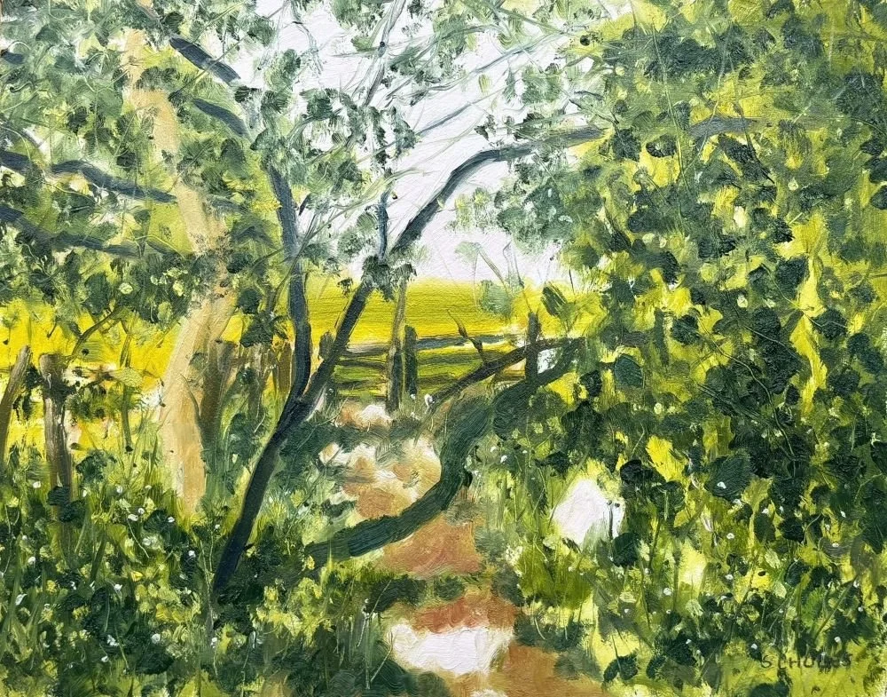 #1303 Footpath in Bright Sun