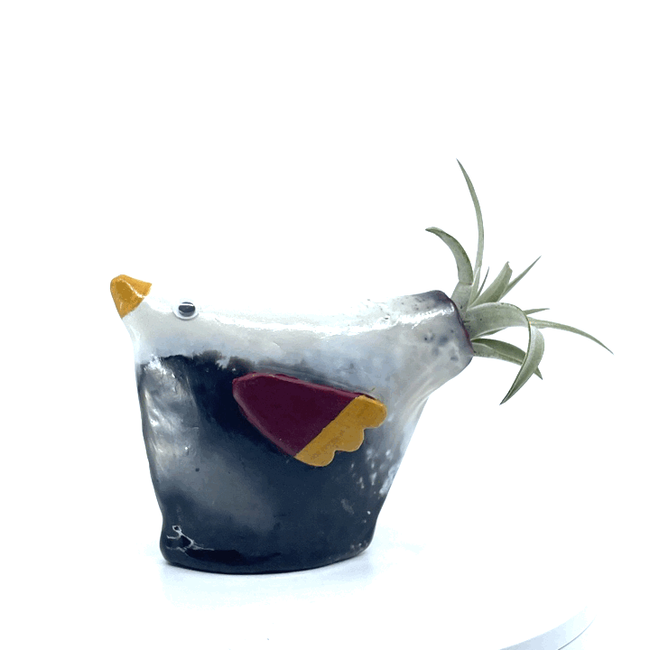 export.gif