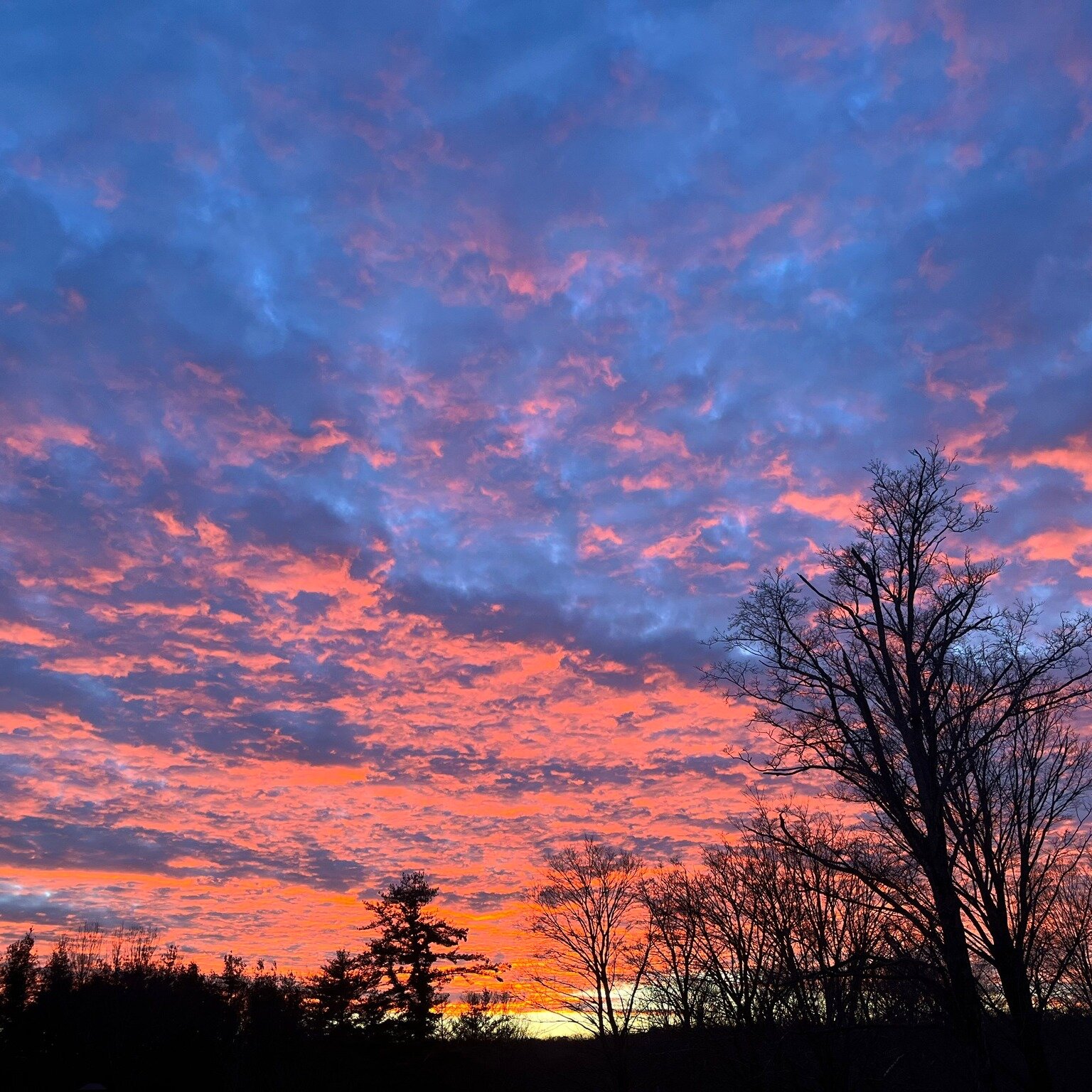 After every sunset comes a sunrise. Are you taking the time to notice the beauty in these every day, magnificent yet predictable things?

If the answer is &quot;no&quot; it seems like taking time out to slow down is necessary. A great way to do this 