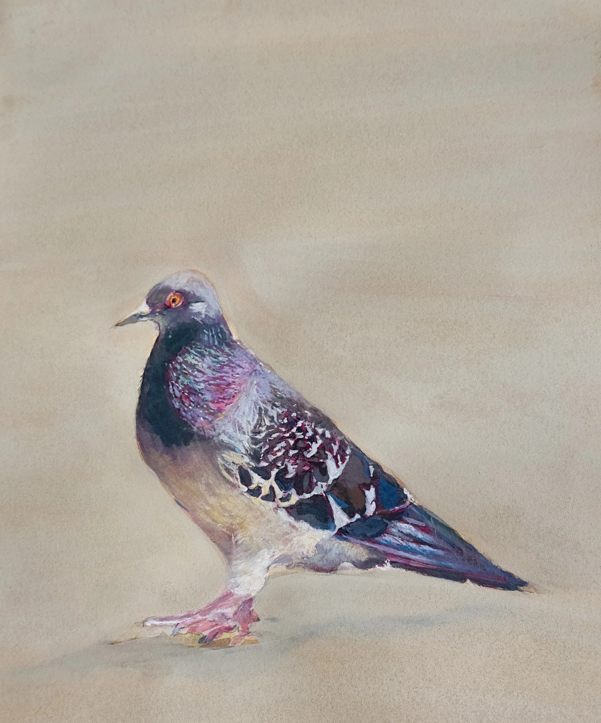 pigeon-National-Mall-watercolor-drawing-susan-t-billington.jpeg