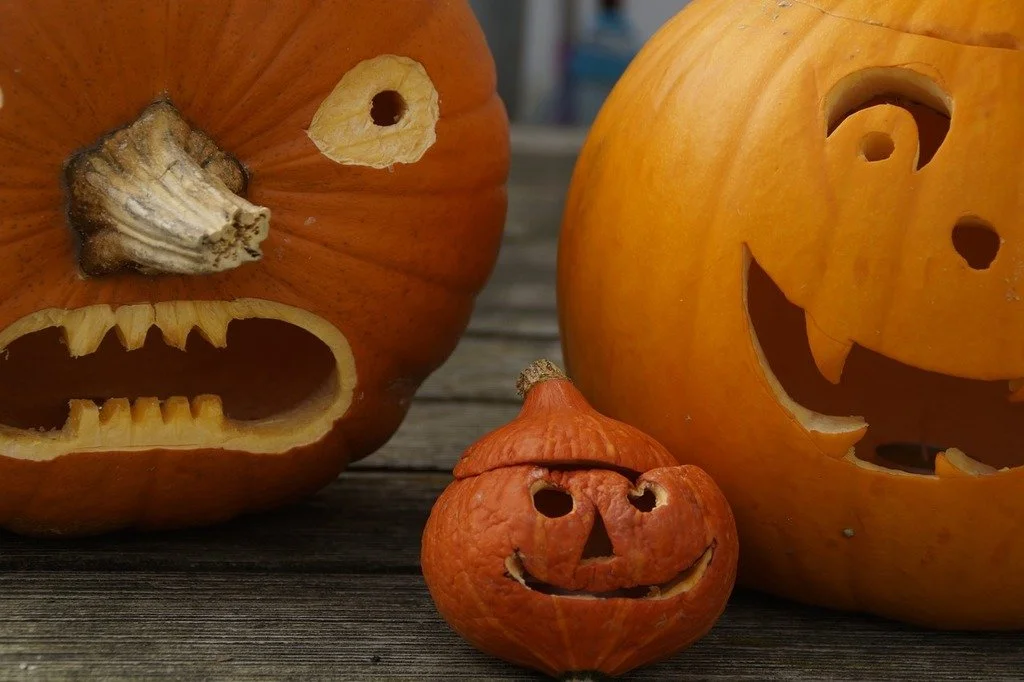 Youth Group - Pumpkin Picking