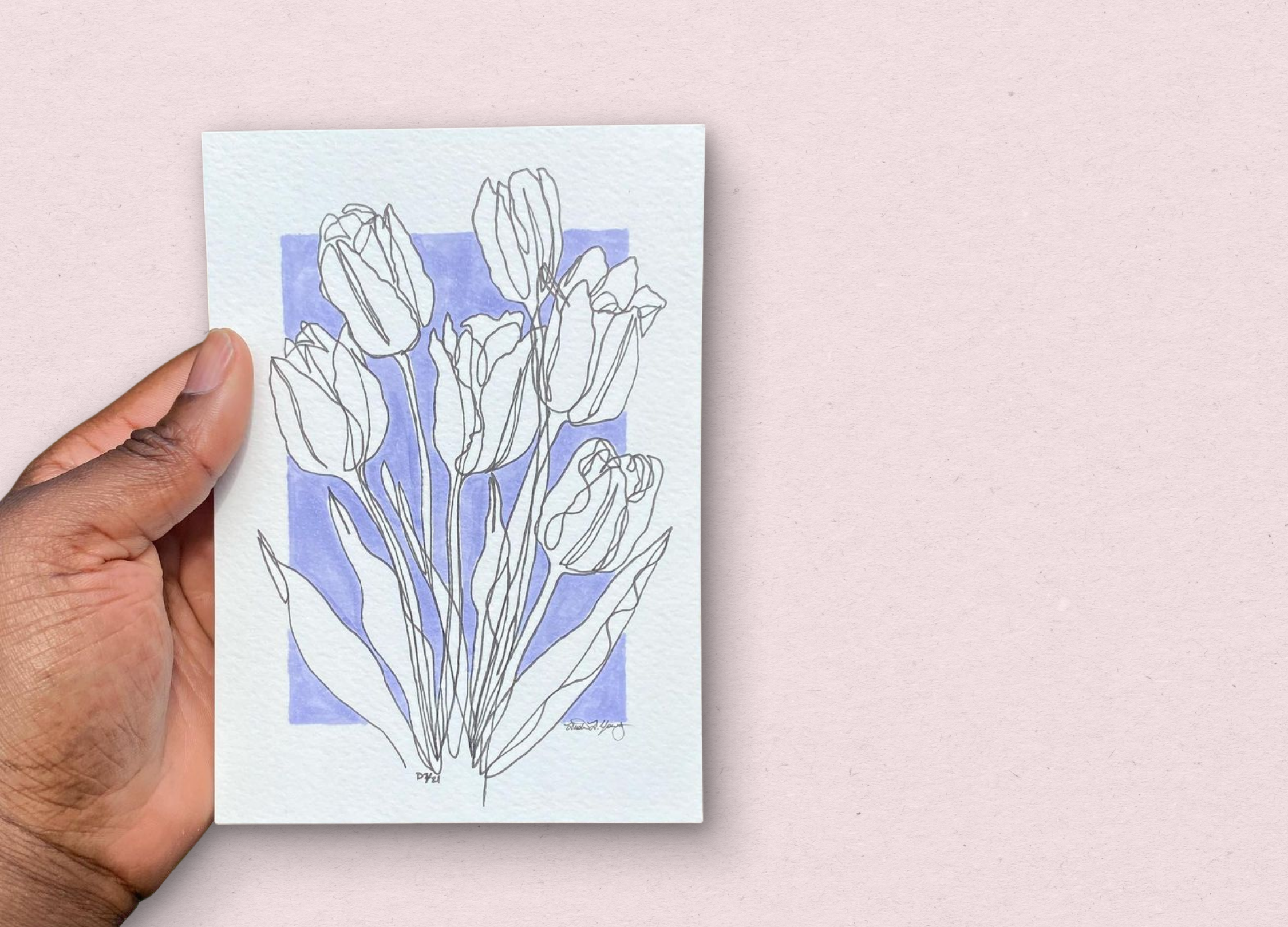 dustinYoung_art_contourSingletulip.png