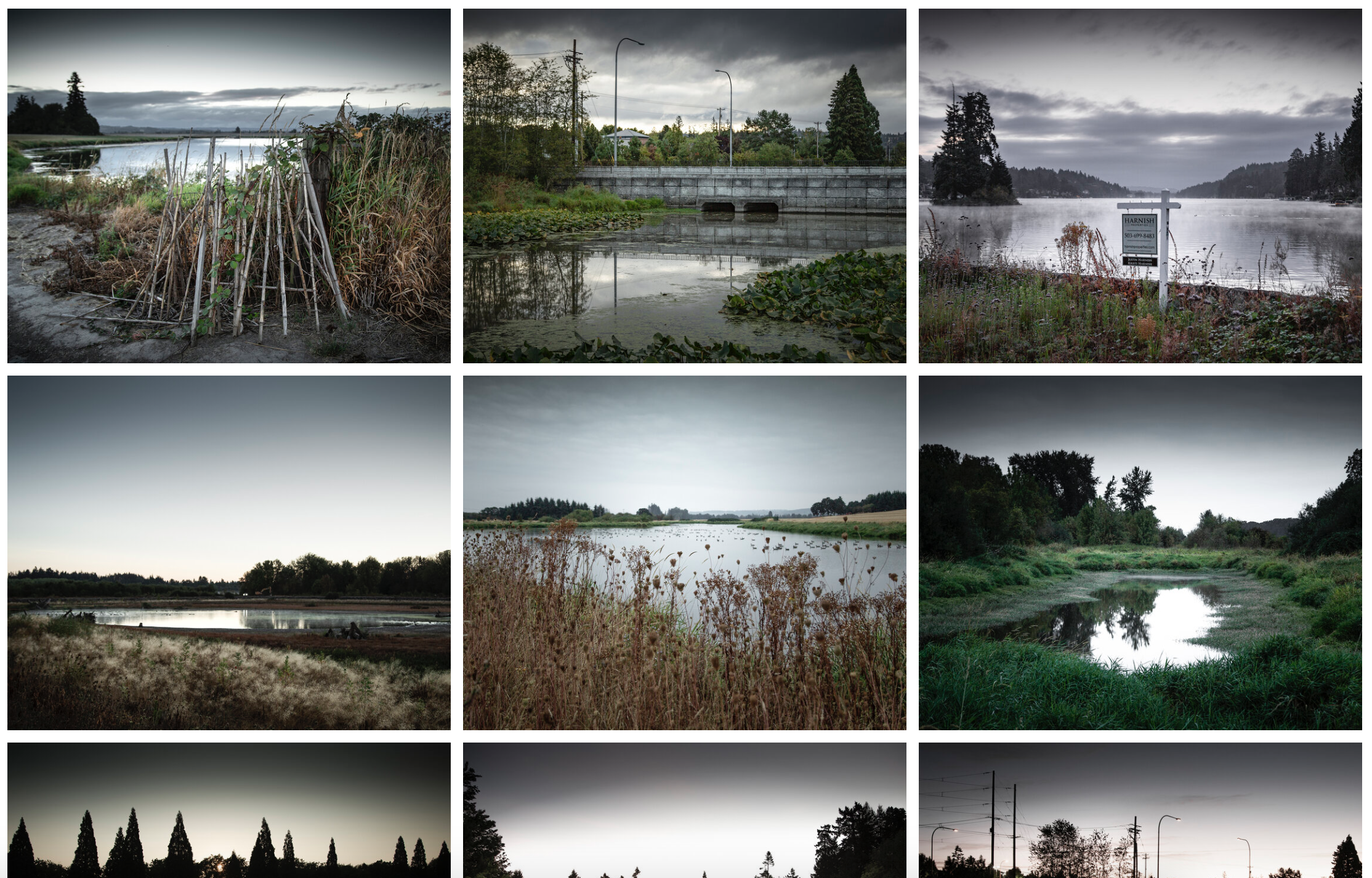 Jason Langer’s 100 Sunrises (Before the Election)