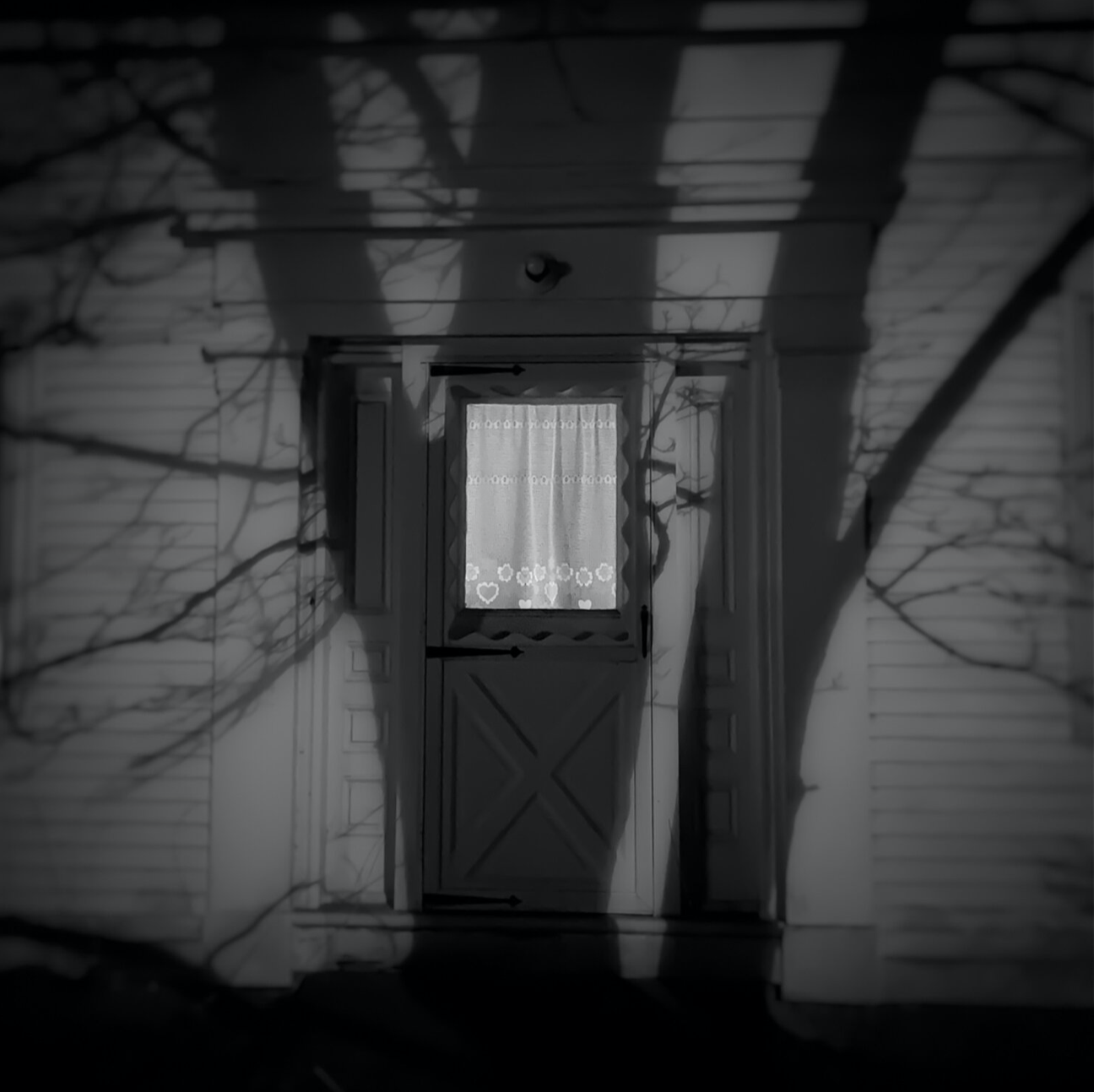Maine’s Antidote-A Blog? A Newsletter? A Magazine? The Director Says, “Yes!”