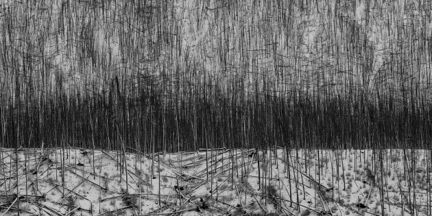 Mono Awards 2021 Announced