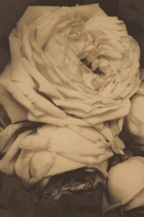 Get To Know: Phillips Auction House