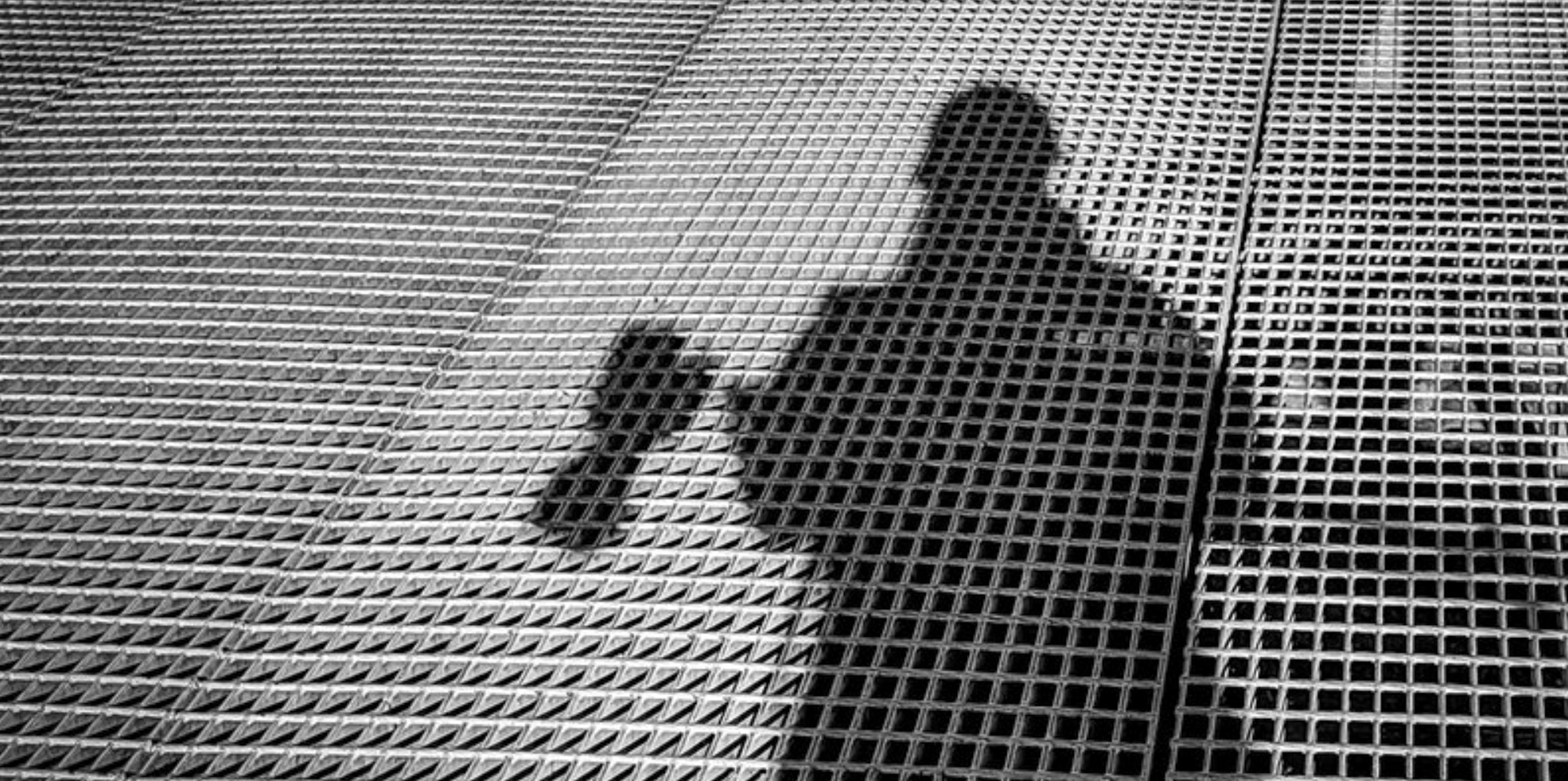 ProPhoto Supply Announces October Training Opportunities