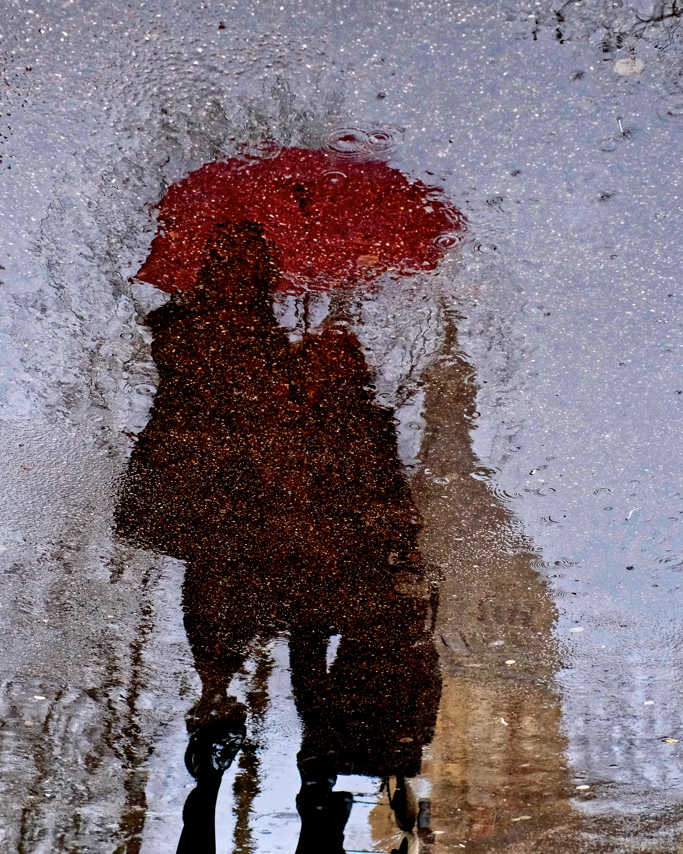 LensCulture Announces 2021 Street Photography Awards