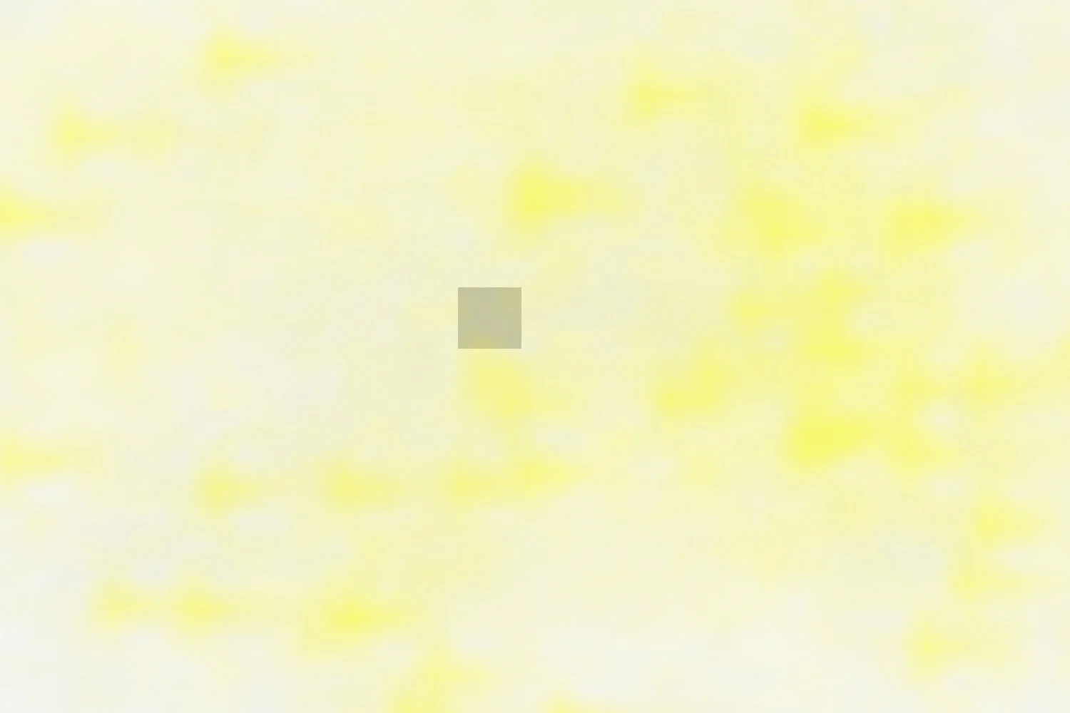 Curious About Non-Fungible Tokens?