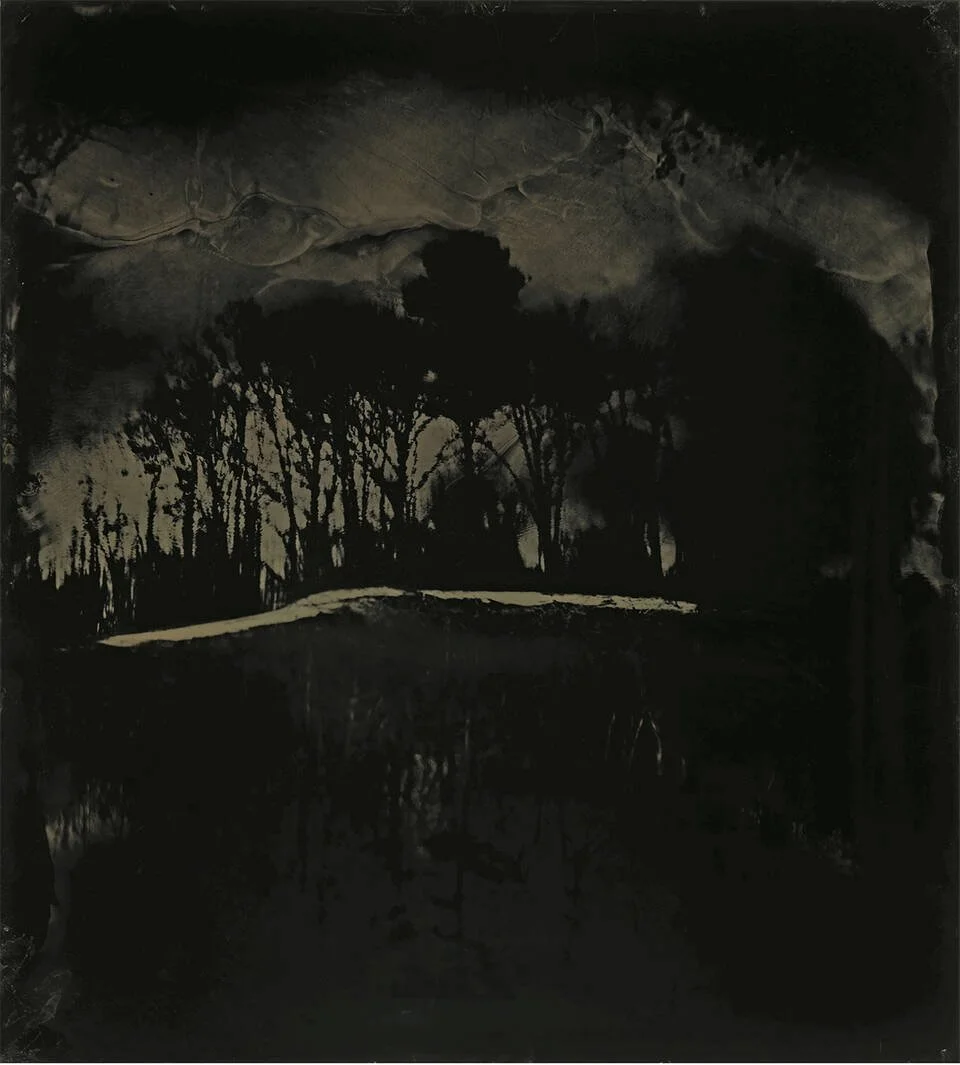 Sally Mann Wins Nineth Prix Tictet With “Blackwater” Series